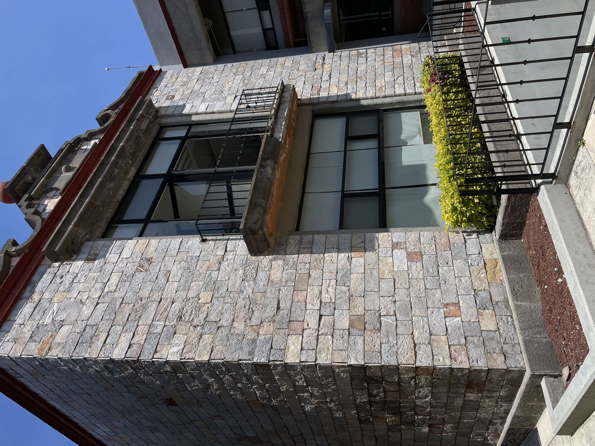 The image shows the exterior of a building in San Andrés Cholula, Mexico. The facade is constructed of rectangular, light-colored stone bricks, arranged in horizontal rows. Large windows with black frames are visible. To the right of one window, there's a vertical patch of green and yellow foliage growing. A dark metal railing runs along the edge of a section of the building. On the left, a ladder is mounted on the building exterior. The sky is blue.