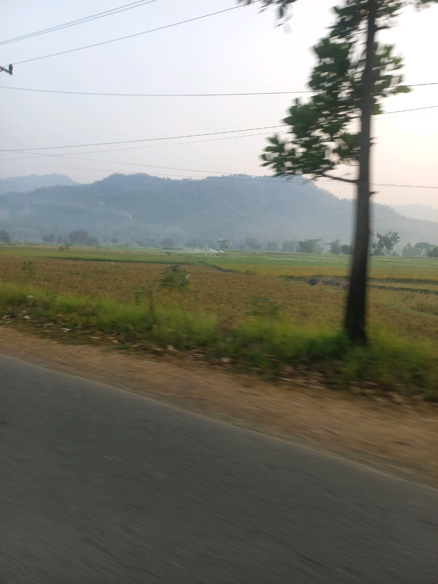 The image depicts a rural landscape in Wiroko, Indonesia, characterized by rolling hills in the background, a cultivated field in the midground, and a road in the foreground. The sky is hazy and overcast, suggesting either early morning or late afternoon lighting. A tall tree stands prominently on the right side of the image, its leaves blurred due to motion. Several power lines are visible crossing the sky horizontally. The field appears to be a rice paddy, with some areas of dry stubble and other areas showing green growth. The road in the foreground is asphalt and shows motion blur, indicating the photograph was taken from a moving vehicle. The overall scene conveys a sense of peaceful rural life, typical of many areas in Indonesia.