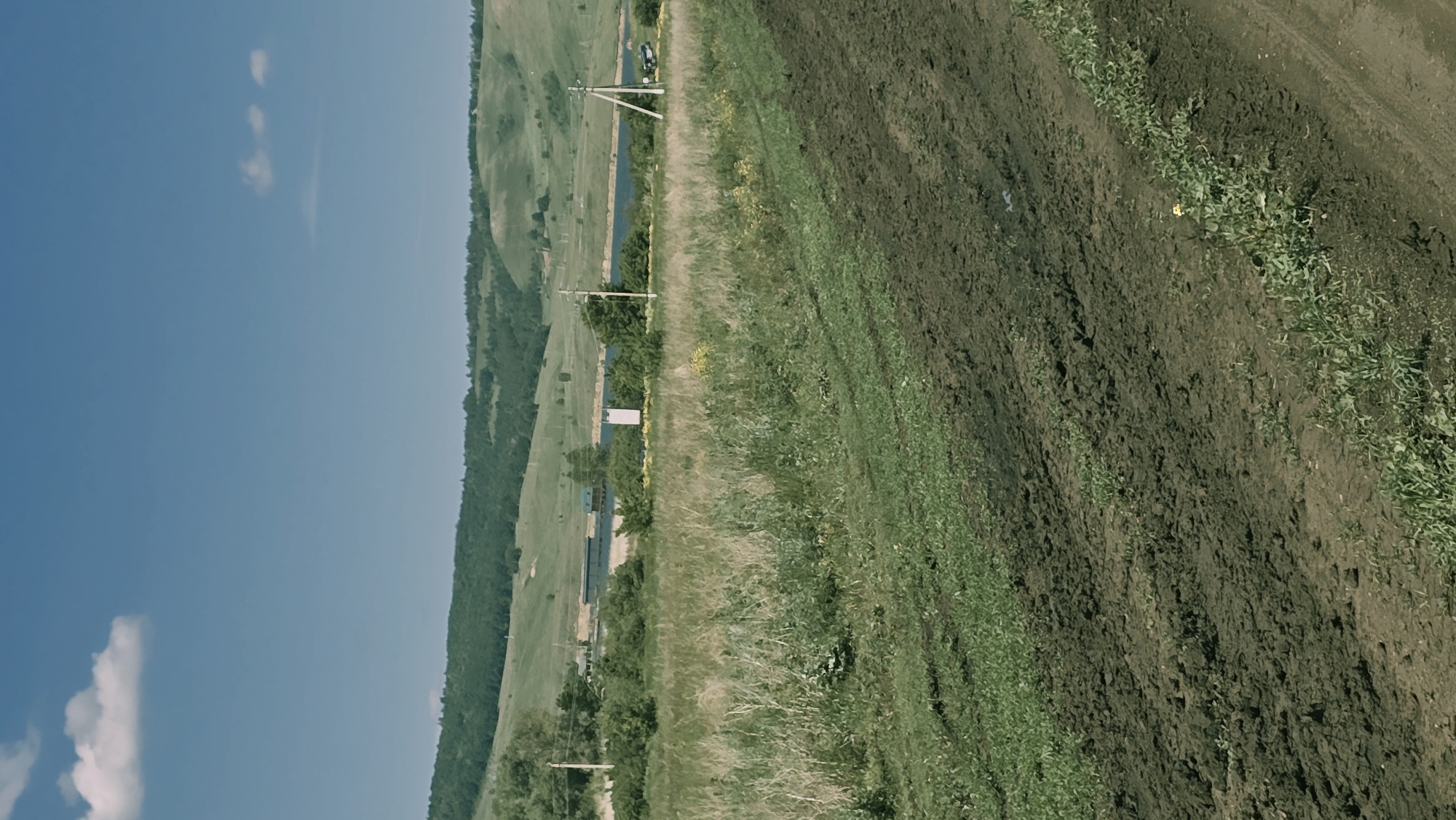 This is a vertically oriented, eye-level, medium-wide outdoor shot depicting a natural landscape. The foreground is dominated by a dirt track with visible tire ruts, juxtaposed with patches of green grass and sparse vegetation. The midground features a field of dry grass and weeds, with scattered yellow wildflowers. Beyond this, a body of water, likely a lake or reservoir, is visible, bordered by trees and a small cluster of buildings. The background consists of rolling green hills covered in dense forest. The sky is a clear, bright blue with a few wispy white clouds. The image appears to have been taken on a sunny day. No people are visible in the scene. The overall impression is one of a rural or semi-rural setting.