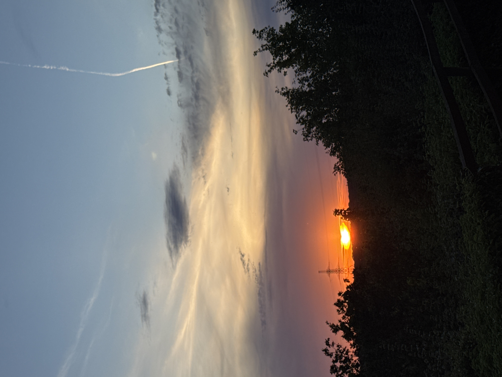 A silhouetted, dark green treeline forms the foreground of the image, with a wooden railing visible in the bottom right corner. Behind the trees, a vibrant sunset is in progress, with the sun appearing as a bright orange orb partially obscured by a distant pylon. The sky transitions from a deep purple hue near the horizon to lighter oranges and yellows, and finally to a pale blue at the top of the frame. Wispy clouds are scattered throughout the sky, and a contrail from an aircraft is visible as a thin white line in the upper right quadrant. The image appears to be taken in a rural or semi-rural area, possibly on the outskirts of the town of Grays, United Kingdom, given the presence of the pylon which is characteristic of the landscape in that region. There are no people or animals visible in the scene.