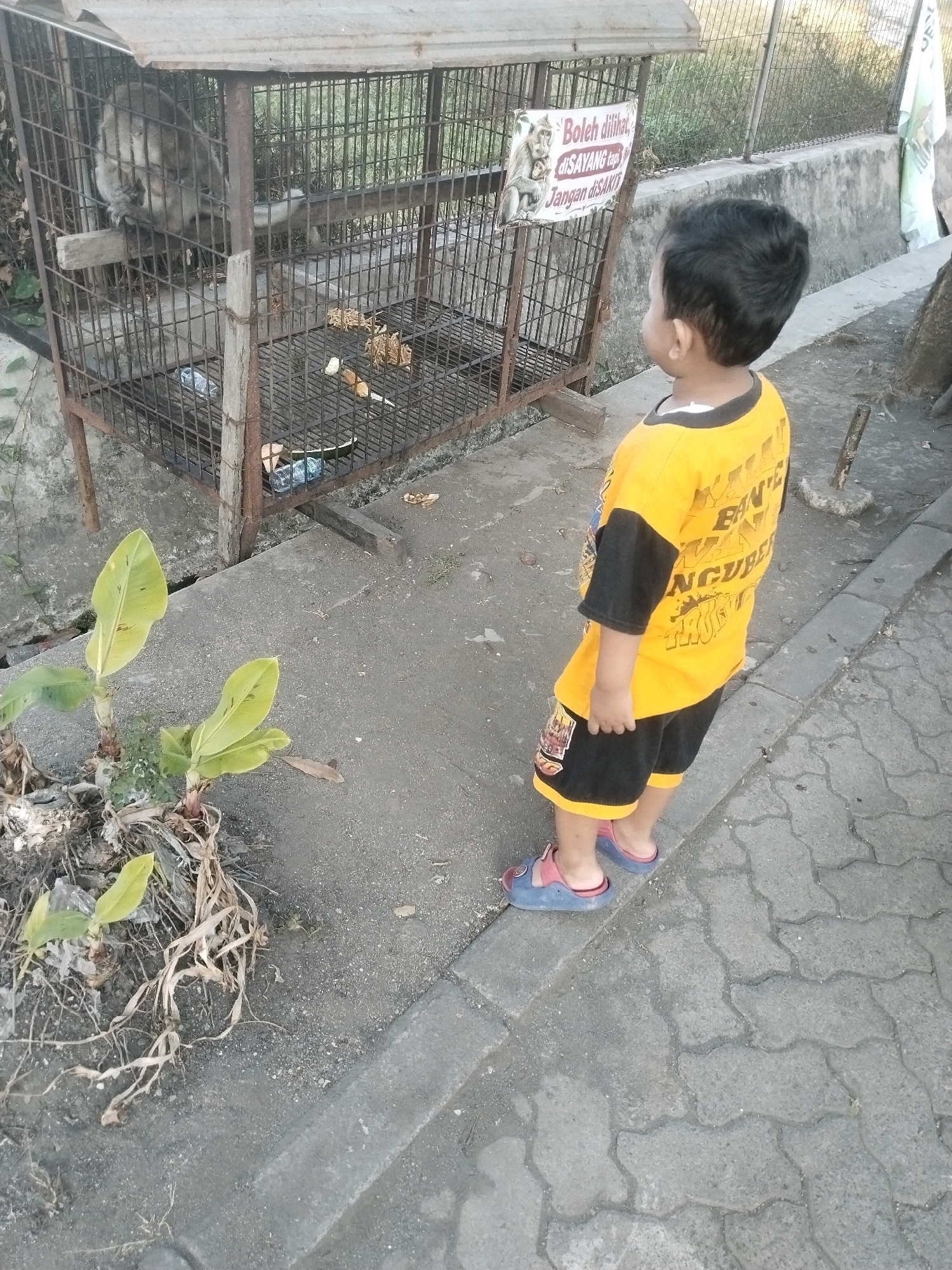 A young boy stands in front of a cage containing a monkey, which is likely in a zoo or animal sanctuary. The boy is wearing a yellow t-shirt with black sleeves and black shorts with a yellow trim. He is also wearing blue and pink sandals. The cage is made of metal bars and has a wooden plank inside for the monkey to sit on. There is a sign on the cage that reads "Boleh dilihat di sayang tapi jangan di sakiti", which translates to "You can see it, love it, but don't hurt it". In the background, there is a concrete wall and some vegetation. The ground is paved with interlocking concrete blocks. The scene appears to be outdoors, possibly in a public area. The location is identified as Pepelegi, Indonesia.