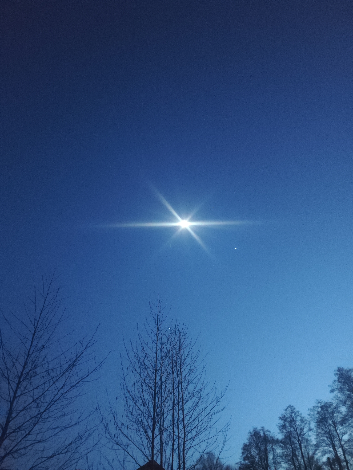 The image captures a deep blue sky dominated by a brilliant, star-like light source, likely the sun, centered in the upper middle of the frame. This light source emits a pronounced lens flare, appearing as a bright horizontal streak with radial rays, characteristic of a direct view into intense light with a camera. Scattered faintly across the deep blue expanse, particularly near the bright light, are tiny, speck-like bright dots, possibly stars, distant planets, or atmospheric phenomena.
Silhouetted against the lower portion of the sky are the bare branches of several deciduous trees, suggesting a cold season like winter or early spring. The intricate network of branches is stark and dark against the lighter blue horizon on the right and the darker blue overhead. The sky transitions from a lighter, almost cerulean blue at the horizon to a deeper, more saturated navy blue towards the top of the frame.
The overall scene conveys a clear, cloudless day, or more likely, a twilight period (either dawn or dusk) given the deep blue of the sky and the visible celestial-like objects alongside the powerful sun. No human activity or visible text is present in the image.