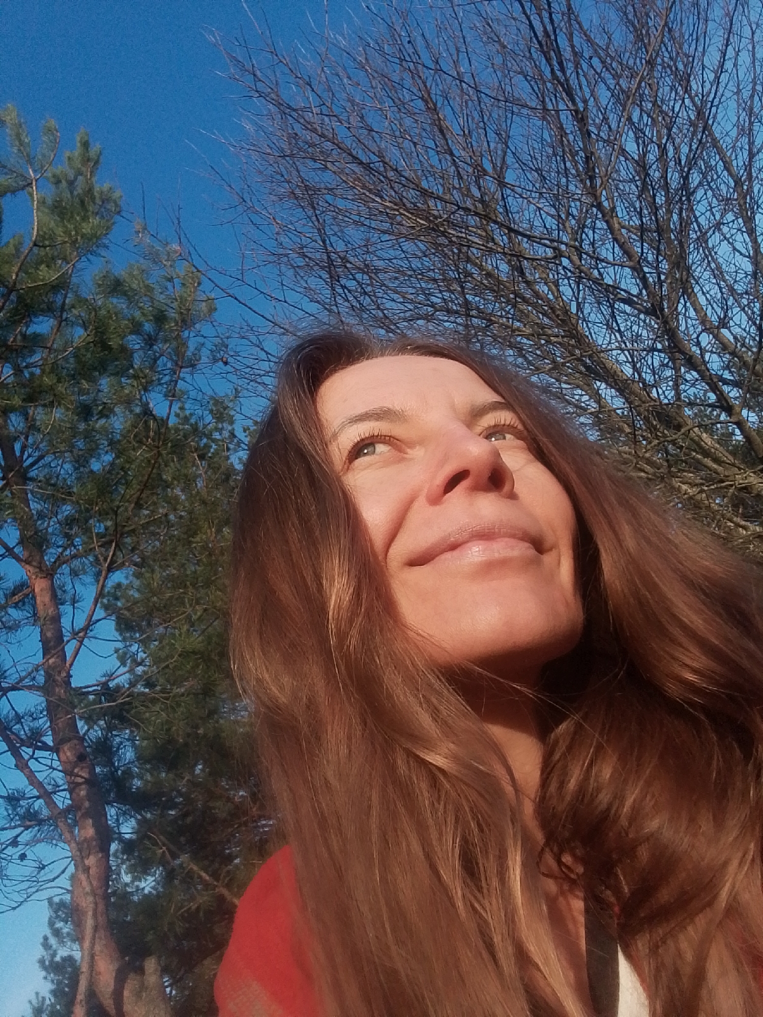 A low-angle, close-up portrait features a woman looking upwards outdoors. Her face is illuminated by warm, natural light, suggesting either early morning or late afternoon sun. She has long, wavy brown hair flowing around her shoulders. Her eyes are directed towards the sky, and she has a gentle, serene smile, conveying contentment or appreciation.
The background consists of a clear, vibrant blue sky. To the left, a portion of a tall evergreen tree with green needles is visible. To the right, a bare deciduous tree with an intricate network of dark branches, characteristic of winter or early spring, occupies the upper right side of the frame. The woman's upper torso is partially visible, showing a reddish-orange garment, possibly a sweater or scarf. No specific objects beyond the natural elements and the woman are present. No text is visible. The scene evokes a peaceful and natural outdoor setting.