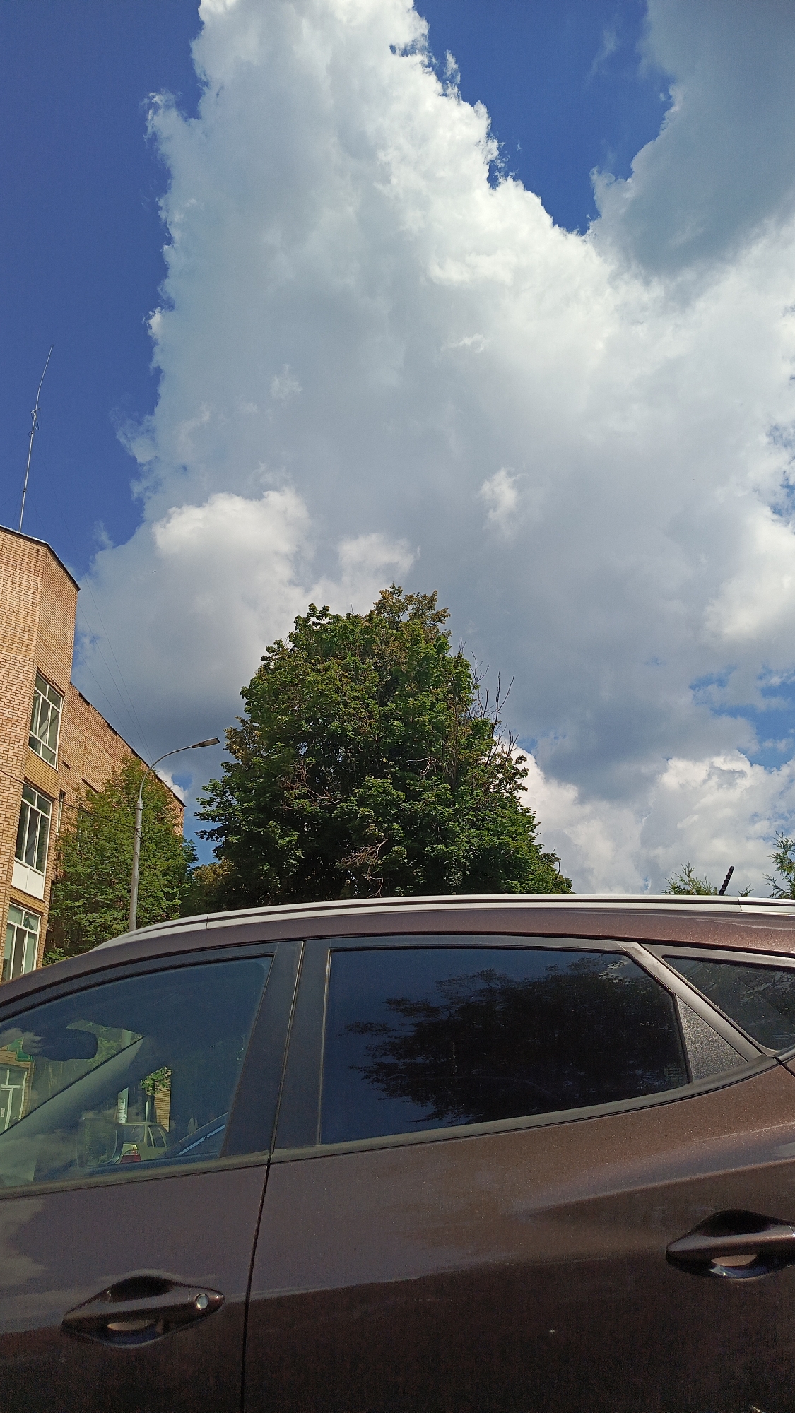 This is a vertical, eye-level shot of a residential street scene in Zvenigorod, Russia, on a partly cloudy day. The foreground is dominated by the side of a dark brown SUV, with its windows tinted. The car's door handle is visible on the right side. Behind the car, a large, mature tree with dense green foliage takes center stage, its branches reaching towards the sky. To the left of the tree, a brick building with multiple windows is visible. A street lamp stands between the building and the tree. The background features a dynamic sky with large, white cumulus clouds against a bright blue backdrop. The overall impression is one of a typical, quiet day in a suburban or urban environment, with nature and man-made structures coexisting. No people or text are visible in the image.