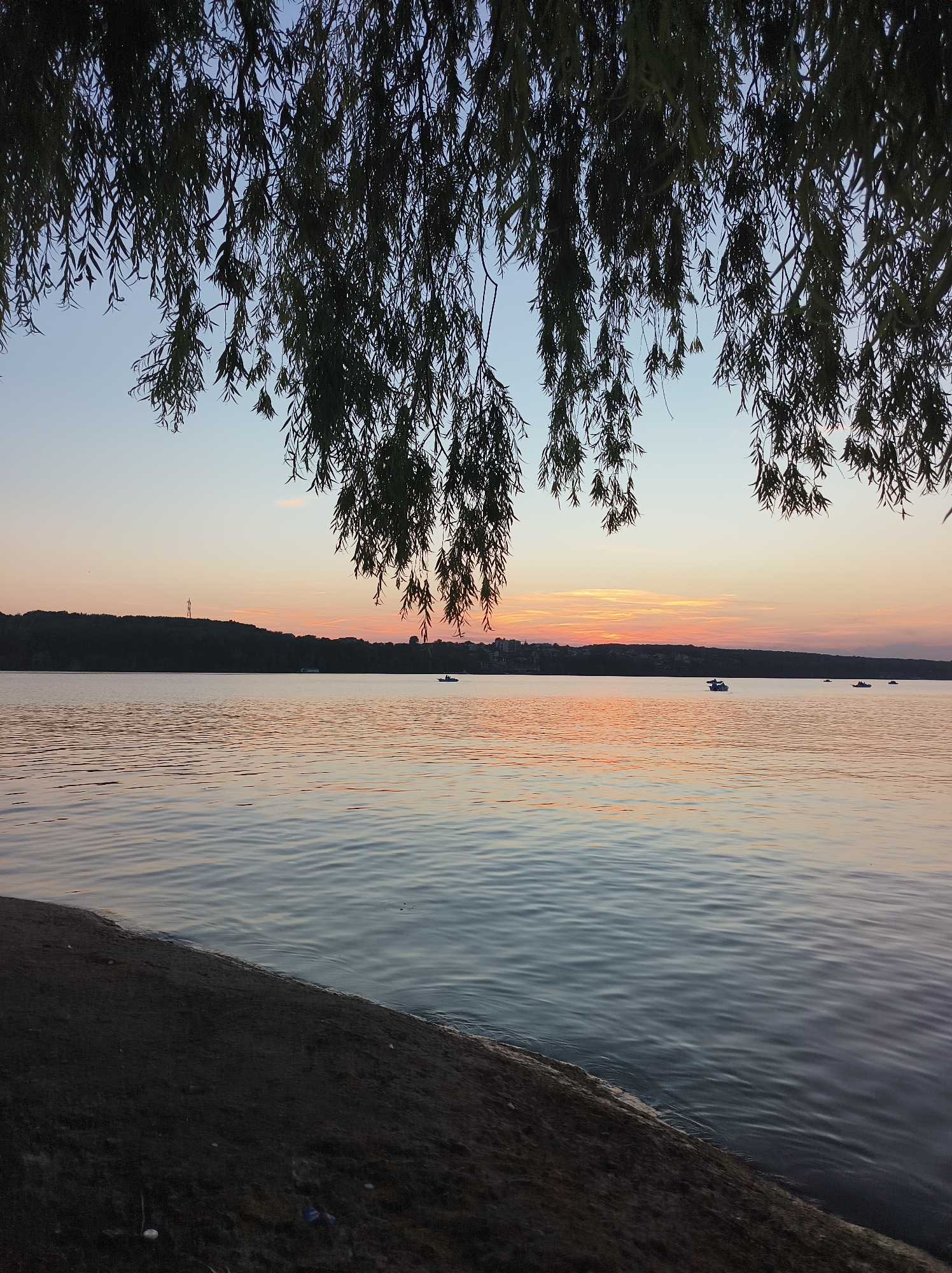A serene sunset scene unfolds over the Ternopil Pond in Ternopil, Ukraine, as viewed from the shore. The foreground features the dark, textured bank of the pond, with hints of debris. The water itself is calm, reflecting the soft colors of the sky. In the mid-ground, the distant tree-lined shore creates a dark silhouette against the horizon. Several small boats are visible on the water, suggesting recreational activity. Overhanging branches and leaves from a weeping willow tree frame the top of the image, their dark forms contrasting with the pastel hues of the twilight sky. The sky transitions from a pale blue at the top to warm oranges and pinks closer to the horizon, indicative of the setting sun. The overall atmosphere is peaceful and tranquil.