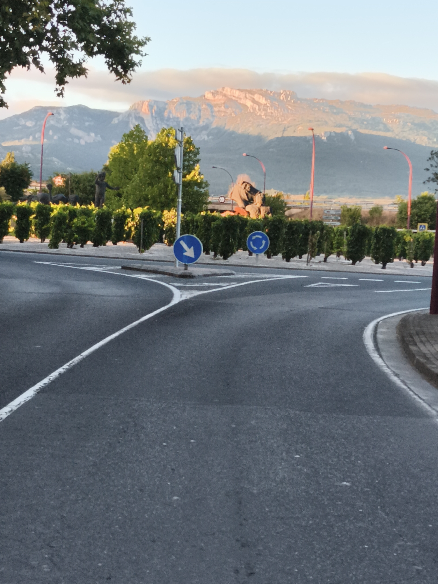 The image shows a road in Haro, Spain, with a mountain range in the background. The road is paved and has white lines indicating lanes. There are two blue traffic signs visible: one with a white arrow pointing down and to the left, and another with a white arrow indicating a roundabout. A row of neatly trimmed green hedges runs along the side of the road. In the distance, a rocky mountain range is illuminated by the warm light of what appears to be sunrise or sunset. The sky above is a soft blue with some wispy clouds. The overall scene suggests a peaceful setting on the outskirts of the city.