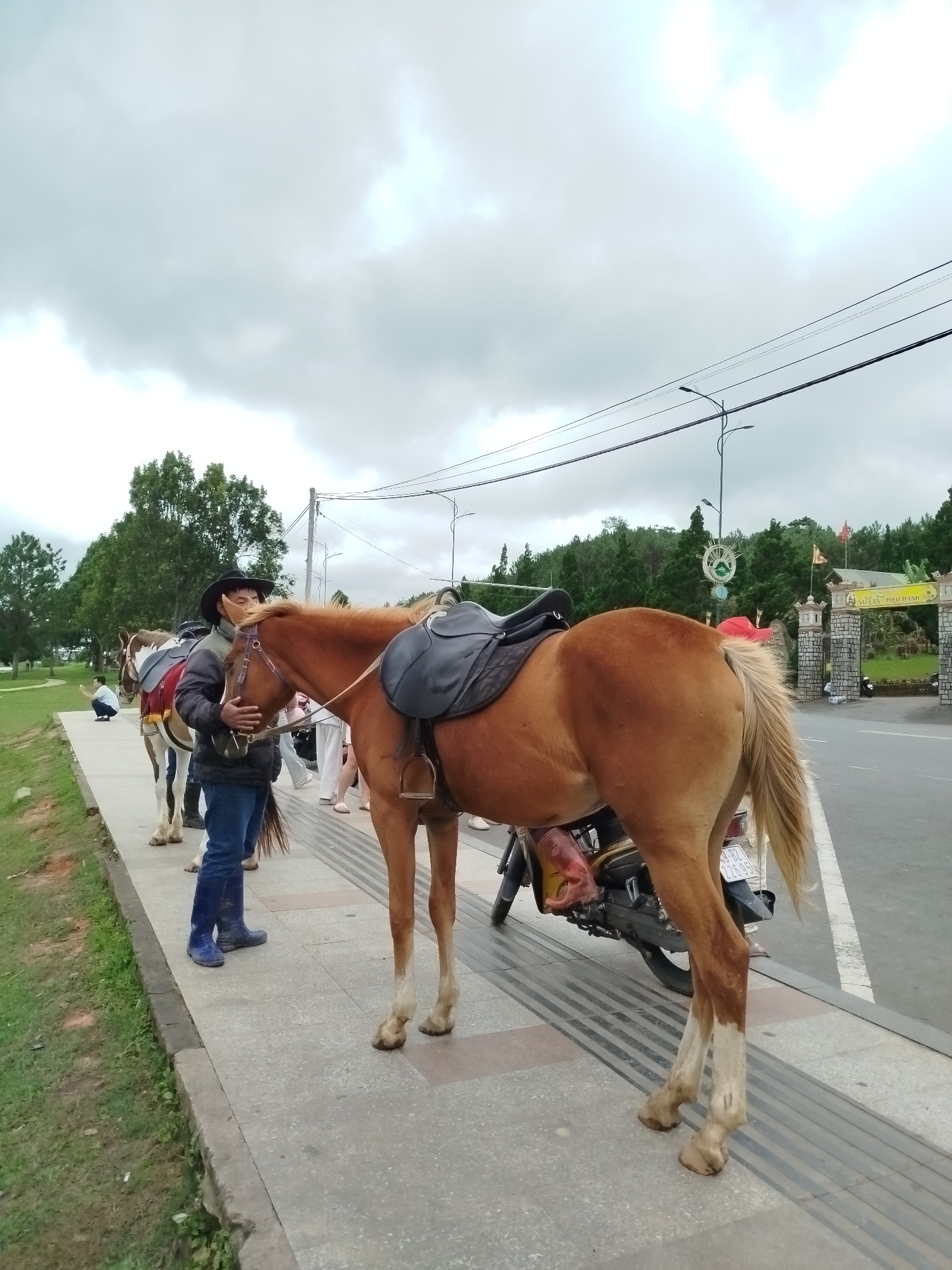 A person wearing a black cowboy hat and blue jeans stands on a sidewalk next to a brown horse. The horse is saddled and appears to be waiting for a rider. In the background, another horse is visible, along with other people and a motorcycle. A street runs alongside the sidewalk, and beyond that, there are trees and a gate with Vietnamese writing. The sky is overcast. The scene is located in Da Lat, Vietnam, likely at an equestrian attraction or a tourist area where horse rides are offered.