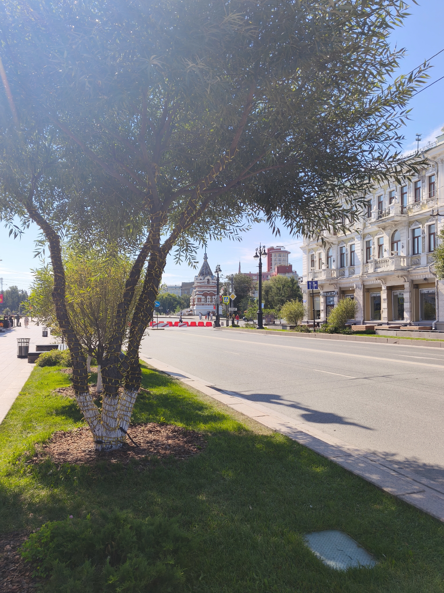 The image depicts a sunny day on a city street in Omsk, Russia. In the foreground, a young tree with multiple trunks, wrapped in yellow twine for protection, stands on a grassy median. The tree is surrounded by mulch. Adjacent to the median is a paved sidewalk with a trash can and a bench. The street itself is a multi-lane asphalt road with clear lane markings.
Across the street, a grand, light-colored building with ornate balconies and arched windows lines the sidewalk. The building appears to be commercial, with signage indicating "COFFEE ANYTIME." Further down the street, several other buildings are visible, including a prominent, architecturally distinct red and white building with a spire, possibly a church or historical monument, and a taller, modern red-toned building in the distance.
Several people are present in the scene. On the sidewalk to the left, a few individuals are walking. On the far side of the street, near the buildings, there are more pedestrians. Red traffic barriers are placed along the road in the middle ground, suggesting ongoing construction or a temporary event. The sky is clear blue, and the bright sunlight casts shadows from the trees and streetlights onto the road. The overall environment suggests a well-maintained urban setting.