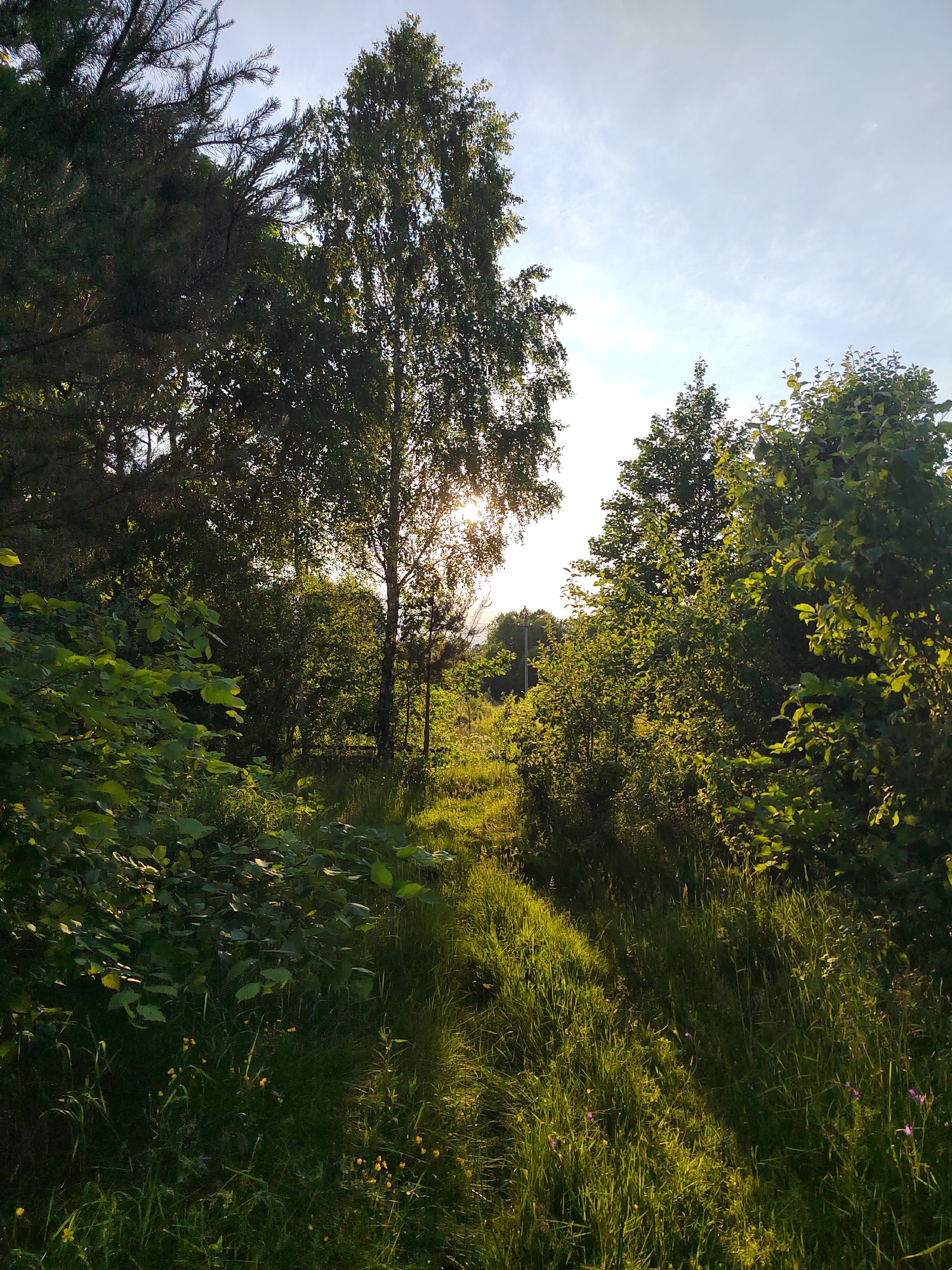 The image depicts a sun-dappled grassy path winding through a wooded area, likely within the Бярэзінскі сельскі Савет of Belarus. Tall trees, including birch and pine, with lush green foliage, dominate the scene. Sunlight filters through the leaves, casting bright patches of light and shadow on the path and surrounding vegetation. The ground is covered with thick grass, interspersed with small yellow and purple wildflowers. The sky above is a pale blue with wispy clouds. The overall atmosphere is natural and serene, suggesting an outdoor environment untouched by significant human intervention. No people or structures are visible.