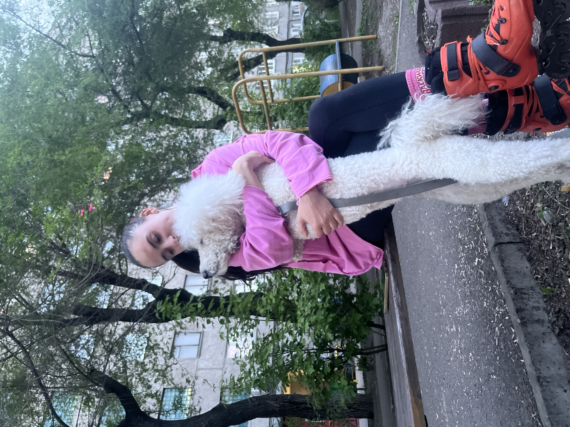 A young woman is sitting on a bench outdoors, holding a white poodle dog in her arms. She is wearing a pink long-sleeved shirt, black leggings, and orange rollerblades. The dog is white with curly fur. A grey leash is visible around the dog. The background includes green trees, a playground structure with yellow bars and blue panels, and a multi-story building with windows. The location is in the city of Krasnoyarsk, Russia.