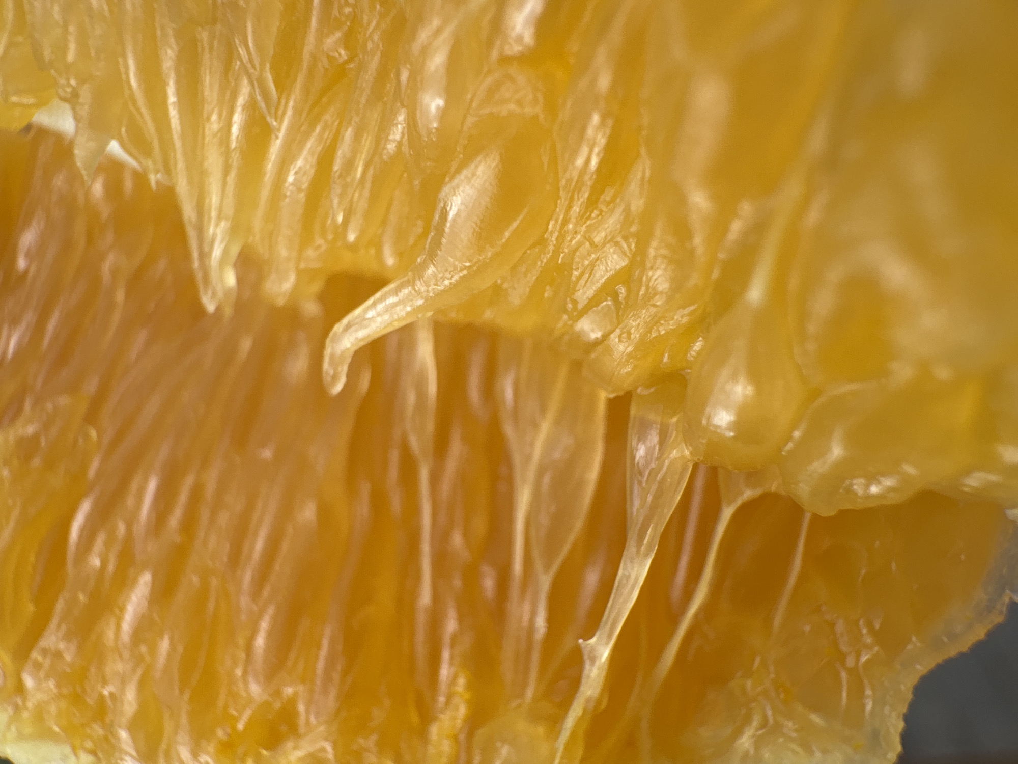 This is an extreme close-up, macro photograph of the juicy flesh of an orange. The subject is the interior of the fruit, showing the translucent segments filled with pulp and juice. The lighting highlights the glistening texture, with bright yellow and orange hues dominating the frame. The focus is sharp on the delicate strands of pulp, some of which appear to be dripping with juice, creating a sense of freshness and succulence. The background is soft and blurred, further emphasizing the intricate details of the orange segments. There are no people, text, or discernible environmental cues to suggest a specific time of day, weather, or location beyond it being the inside of an orange. The image evokes a sensory experience of taste and texture, focusing on the natural beauty and detail of the fruit.