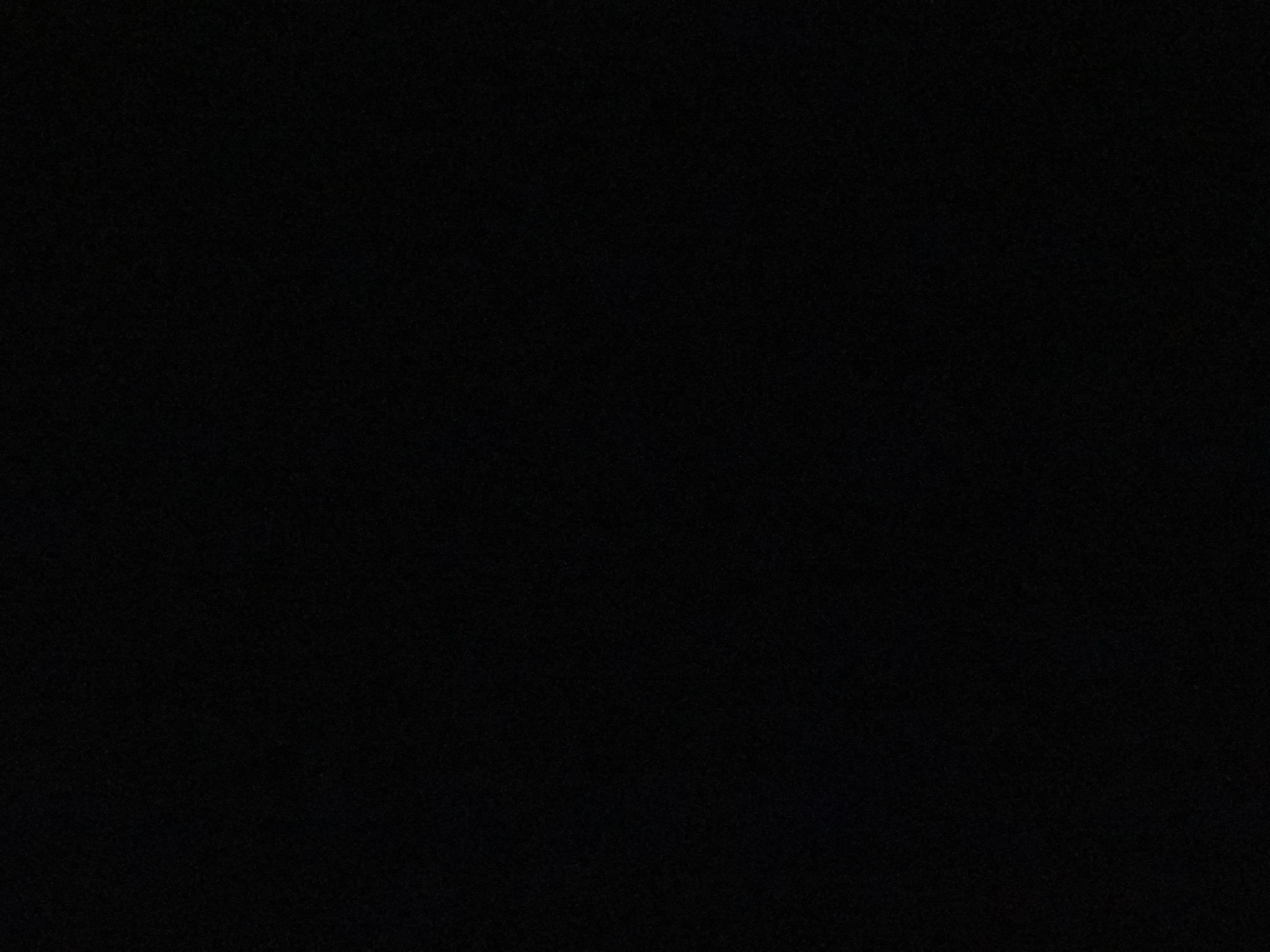 The image depicts a uniformly black, undifferentiated field of view. There are no discernible people, subjects, objects, or actions visible within the frame. The scene is situated in the city of Santa Ana, Venezuela. The environment is characterized by a complete absence of illumination, rendering all visual details unidentifiable. Slight, fine-grained digital noise may be present across the otherwise monochrome field, but it does not reveal any forms, textures, or features. No interactions are depicted.