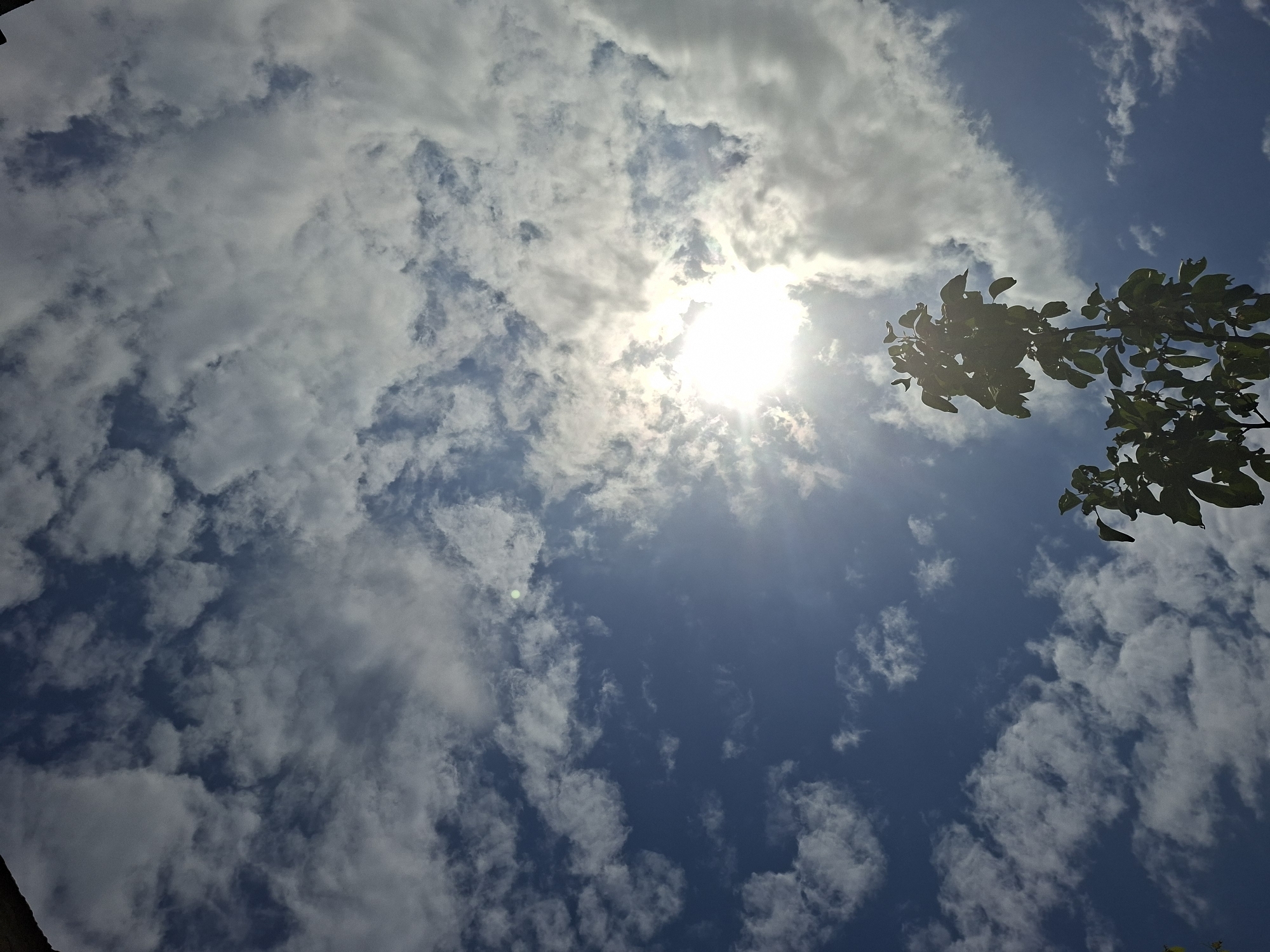 The image depicts a low-angle view of the sky. Bright sunlight is visible through a break in the clouds. The clouds are a mix of white and grey, scattered across a blue sky. In the upper right corner, a branch with green leaves is visible. The location is indicated as Pokrovan, Bulgaria, but there are no elements in the image to confirm or deny this. No people, specific objects, actions, or interactions are visible.
