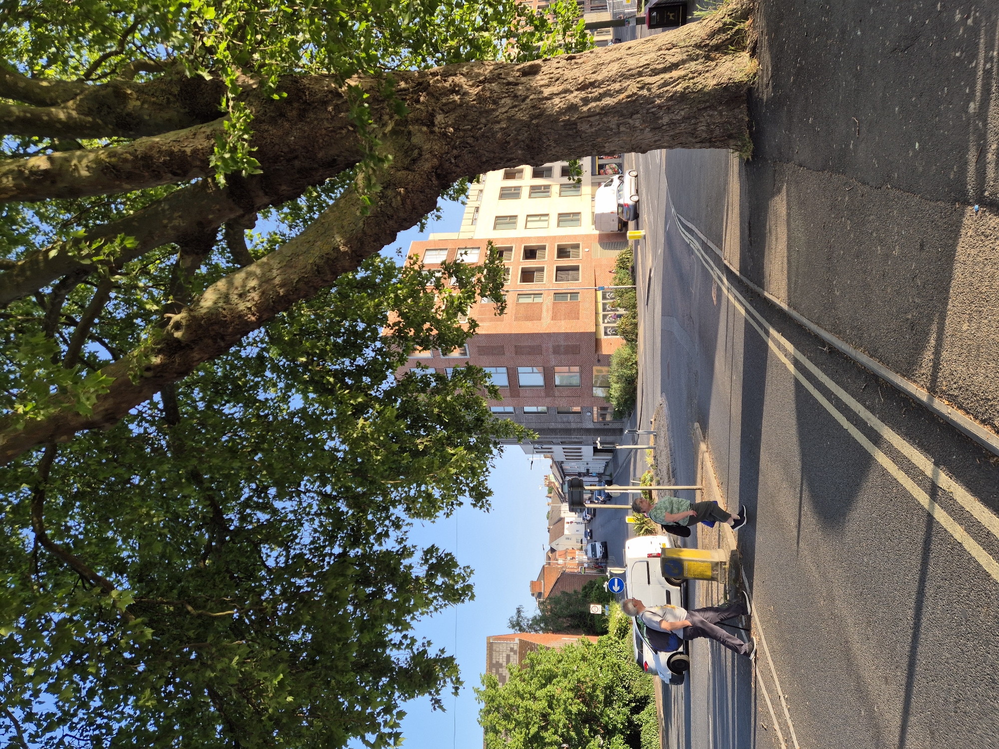 A street view in West Suffolk, United Kingdom, shows a tree with a thick trunk extending over the sidewalk. A man in a light shirt and dark pants crosses the street, walking away from a white van parked along the curb. A second person is on the sidewalk near a yellow and blue bollard further down the street. In the background, brick buildings line the road. Double yellow lines are visible on the road surface.