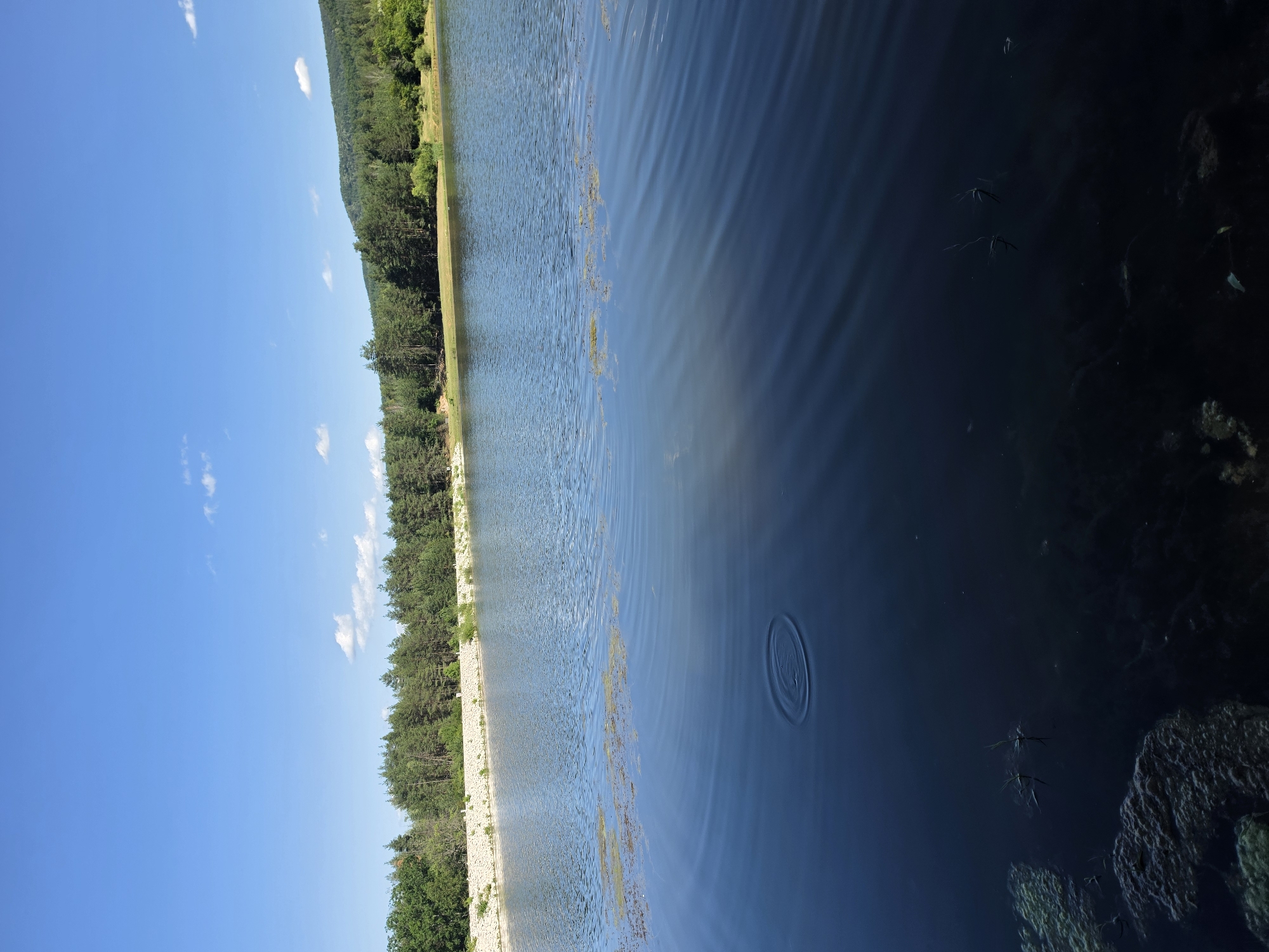 The image depicts a body of water, likely a lake or reservoir, under a clear blue sky with scattered white clouds. The foreground features ripples on the dark water's surface, with some submerged vegetation and debris visible. In the mid-ground, a line of green trees forms a dense forest along the shoreline. Beyond the trees, rolling hills covered in greenery rise in the background. The shoreline is reinforced with a pale, textured barrier, possibly stone or concrete. The location is identified as Osetenovo, Bulgaria. There are no people or animals visible in the scene. The overall impression is one of a natural, serene landscape on a sunny day.