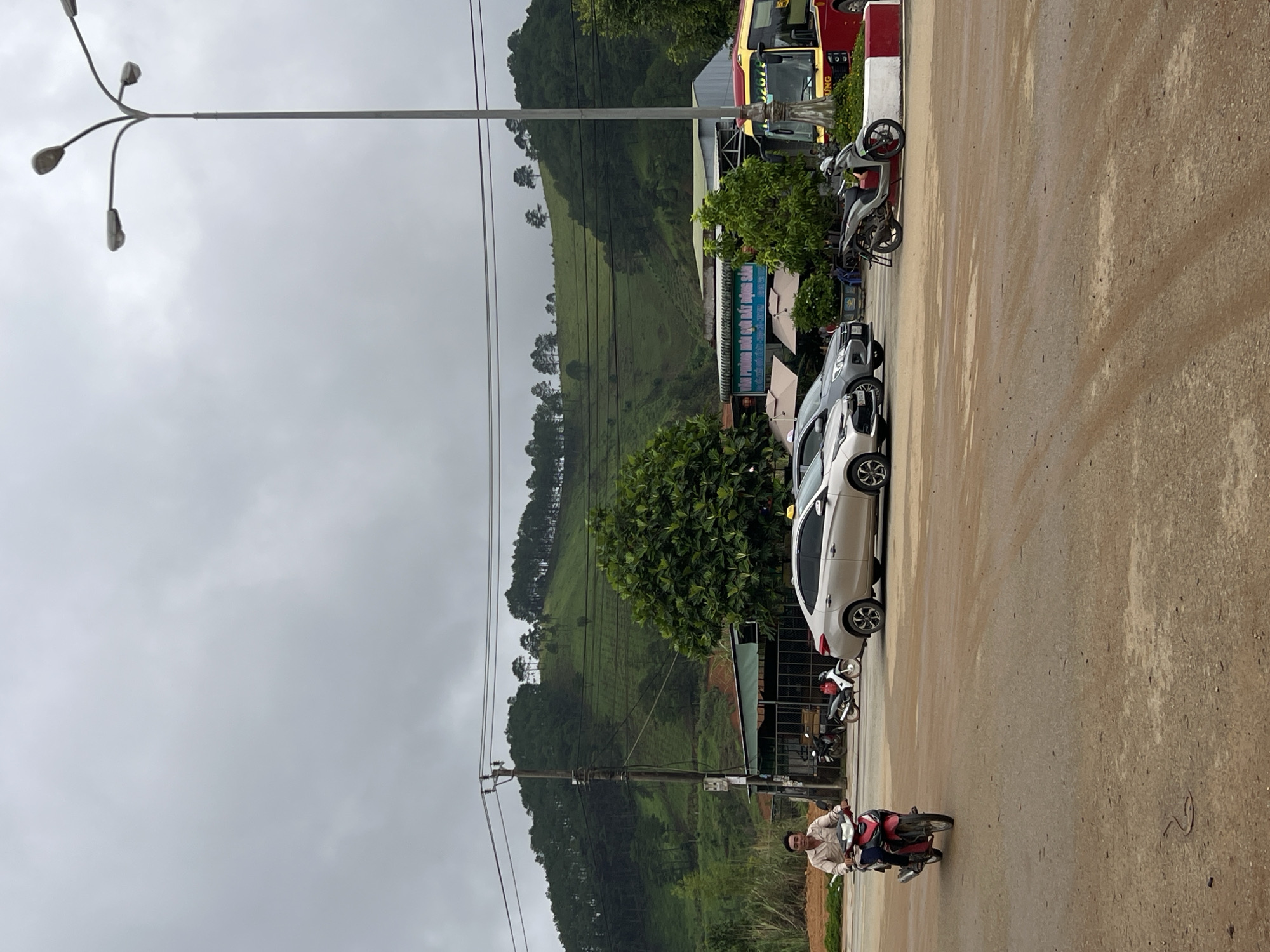 This image depicts a rural or semi-urban roadside scene in Bo Y, Vietnam, under an overcast sky.
In the immediate foreground, a light brown dirt or gravel road dominates, featuring multiple tire tracks. A dark-colored snake is coiled on the road surface in the lower-center of the frame.
A man, wearing a light tan long-sleeved shirt, operates a red and blue motorcycle from left to right, looking towards the viewer. He is positioned on the left side of the road.
To the right of the man and further back, a silver sedan (likely a Hyundai Accent with a yellow taxi sign) is parked facing left, followed by a grey SUV (possibly a Toyota Innova) partially visible. A grey scooter with red wheels is parked next to a low concrete median with red and white painted curbs. Behind the median, a red and yellow passenger bus is parked, partially obscured by a tall, grey street light pole with three luminaires.
At the base of the distant green hills, several low-rise buildings are visible, including one with a green roof and an awning, displaying Vietnamese text on a sign that includes "VĂN PHÒNG MÔI GIỚI BẤT ĐỘNG SẢN" (Real Estate Brokerage Office). Various green trees and shrubs are scattered throughout the midground, including a prominent large leafy tree to the left of the parked cars. Utility poles and power lines run horizontally across the midground, stretching towards the left where another pole stands near the man on the motorcycle.
The background is dominated by lush green hills or mountains, extensively covered with trees, many of which appear to be pines, particularly along the upper slopes and ridges. The sky is uniformly grey and cloudy.