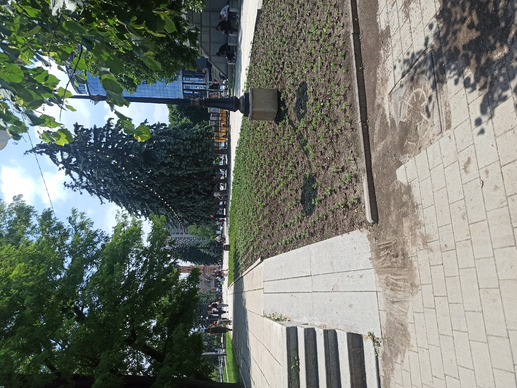 The image captures a bright, sunny day in an urban park or pedestrian area. In the foreground, a paved pathway made of rectangular stones leads the eye towards the background. To the left of the pathway are several steps, a concrete ramp, and a large patch of soil with rows of small, green plants. A lamppost stands near the center of the planted area. Beyond the planted area, the pathway continues, lined by trees and with people walking and cycling. In the middle ground, there is a large, dark green evergreen tree adorned with small, circular lights. Further back, a modern glass-fronted building is visible, with a few people seated on a bench in front of it. In the distance, more trees and buildings create a cityscape. The sky is blue with scattered white clouds.