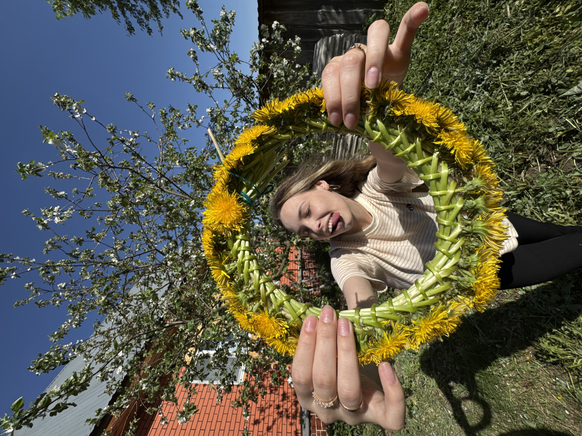 A young woman with blond hair is holding a wreath made of dandelions. She is sticking her tongue out and smiling through the wreath. The wreath has yellow flowers around the outside and green stems making up the inner circle. The woman is wearing a striped shirt and has rings on her fingers. Behind her, a blooming tree is on the left and a house with a red brick foundation is on the bottom left. The background consists of grass, trees, and a blue sky. The image was likely taken outdoors in the city of Кемуль, Russia.