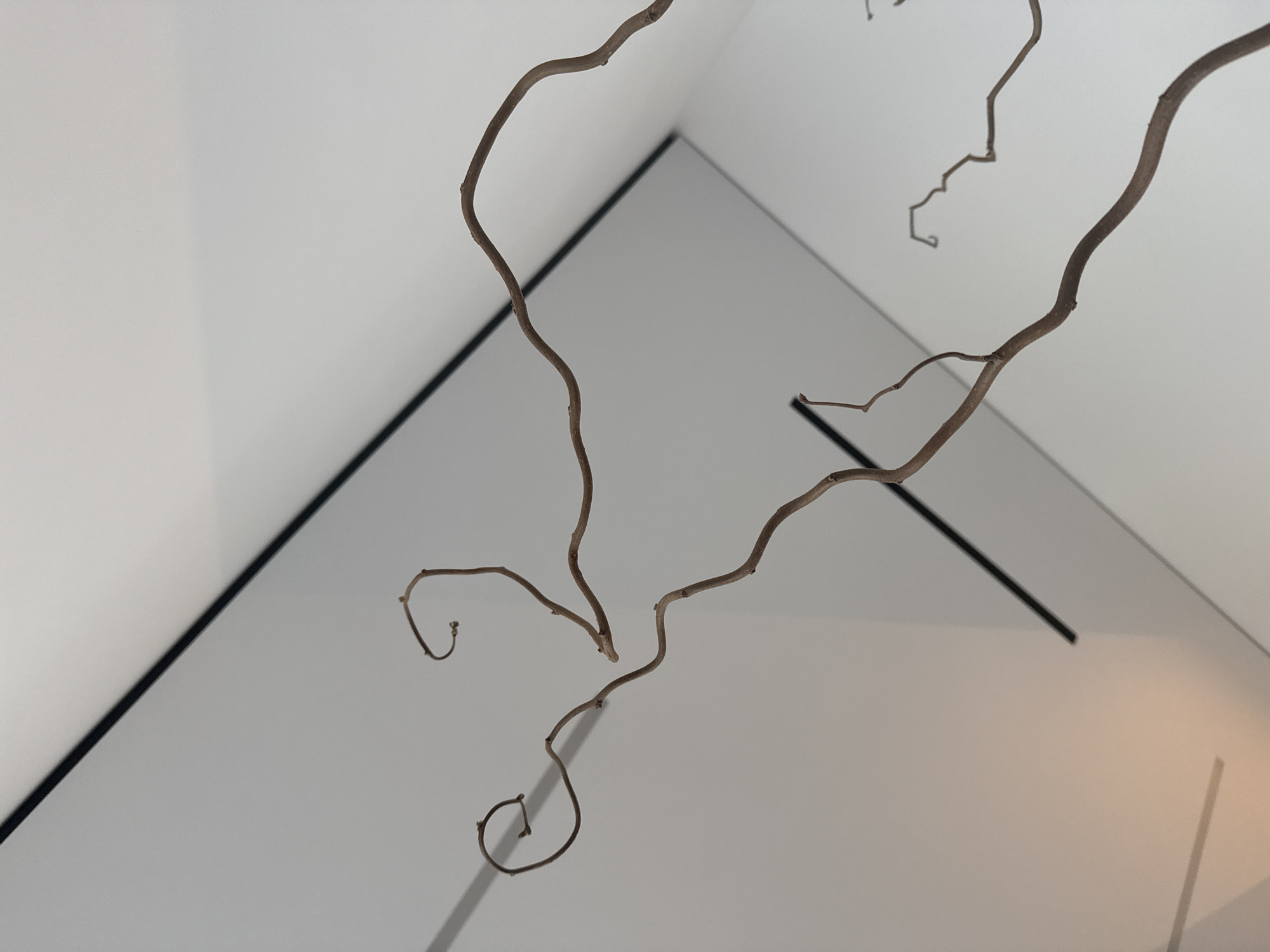 A low-angle shot depicts a sparse arrangement of brown, leafless branches suspended in a room, contrasting with the white walls. The sharp angles of the room's corners are defined by black trim, adding a geometric element to the composition. The branches cast faint shadows on the walls, suggesting a light source, and are positioned centrally in the frame. The branches' placement, the corner's black trim, and the white walls align in the corner.