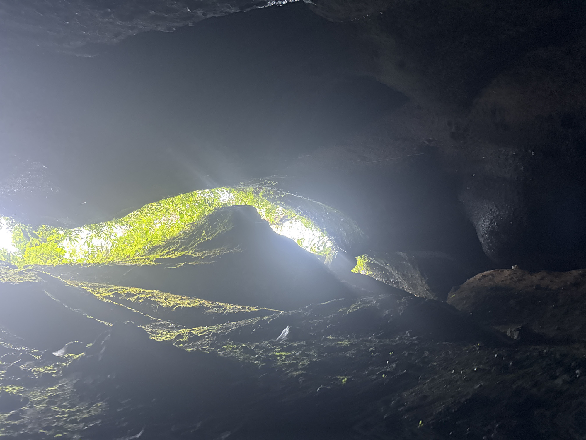 This media file depicts the interior of a cave in Tembuku, Indonesia. The scene is characterized by the play of light and shadow, with bright sunlight filtering in from an opening at the top, illuminating moss-covered rock formations. The cave walls appear dark and textured, with some areas showing the rough, uneven surface of the rock. The opening above reveals lush green foliage, suggesting a tropical environment.
The primary subjects are the natural elements of the cave – the rocks, moss, and the light source. There are no people or man-made objects visible in the image. The activity taking place is simply the natural state of the cave, with light entering and illuminating the interior.
Notable details include the strong contrast between the dark interior and the brightly lit opening. The sunlight creates dramatic rays that pierce through the darkness, highlighting the texture and contours of the cave walls. The presence of moss indicates a damp environment, likely receiving sufficient rainfall. The lush greenery visible through the opening suggests it is daytime, possibly mid-morning or afternoon, when the sun is high enough to penetrate the cave. The overall mood evoked is one of natural wonder and perhaps a sense of mystery due to the dimly lit interior. There is no visible text in the media file.