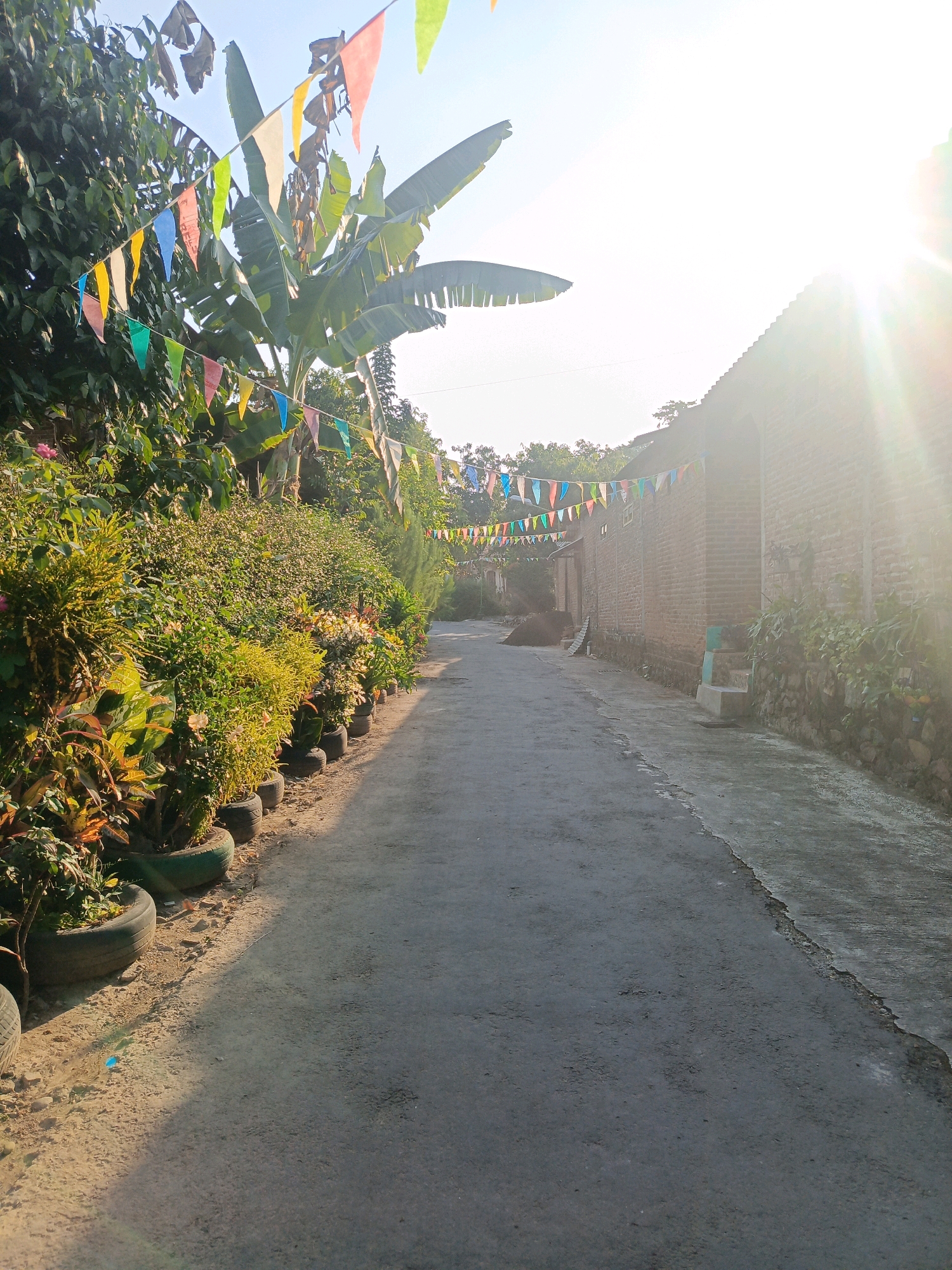 The image depicts a narrow, paved alleyway in Baleasri, Indonesia, illuminated by the bright, late afternoon sun. Colorful triangular flags are strung across the alley, adding a festive touch. Lush green foliage and various plants, some potted in repurposed tires, line the left side of the path. The right side features a rustic brick building with a textured stone foundation and a small set of concrete stairs. The overall impression is one of a well-maintained, somewhat vibrant, and lived-in residential area.