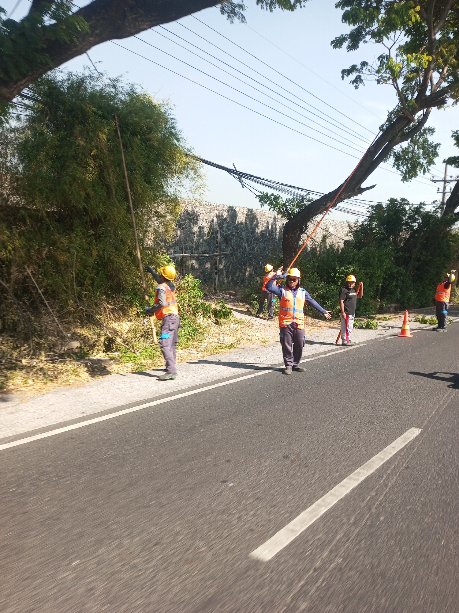 In Sengon Agung, Indonesia, a group of workers in reflective vests and hard hats are trimming trees near a roadway. The scene is characterized by a clear sky and lush greenery, with power lines crisscrossing overhead. The workers appear to be using long pole saws to reach high branches, while debris from the trimming litters the ground. The presence of a traffic cone suggests that some form of traffic control is in place, likely to ensure the safety of the workers and passing vehicles. The overall impression is one of routine maintenance being carried out in an urban or semi-urban environment.