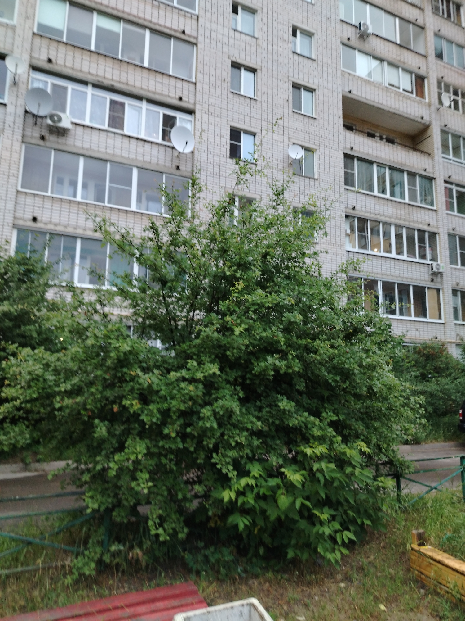 A tall, grey brick apartment building with many windows and balconies dominates the upper half of the image. Green trees and bushes partially obscure the lower floors of the building and extend into the foreground. A green metal fence runs horizontally in the middle ground, separating the vegetation from a paved area beyond. Some of the windows on the building have satellite dishes attached. The lower foreground shows a red object, possibly a bench, and a white object, possibly a container. The overall scene appears to be an outdoor residential area in a city.