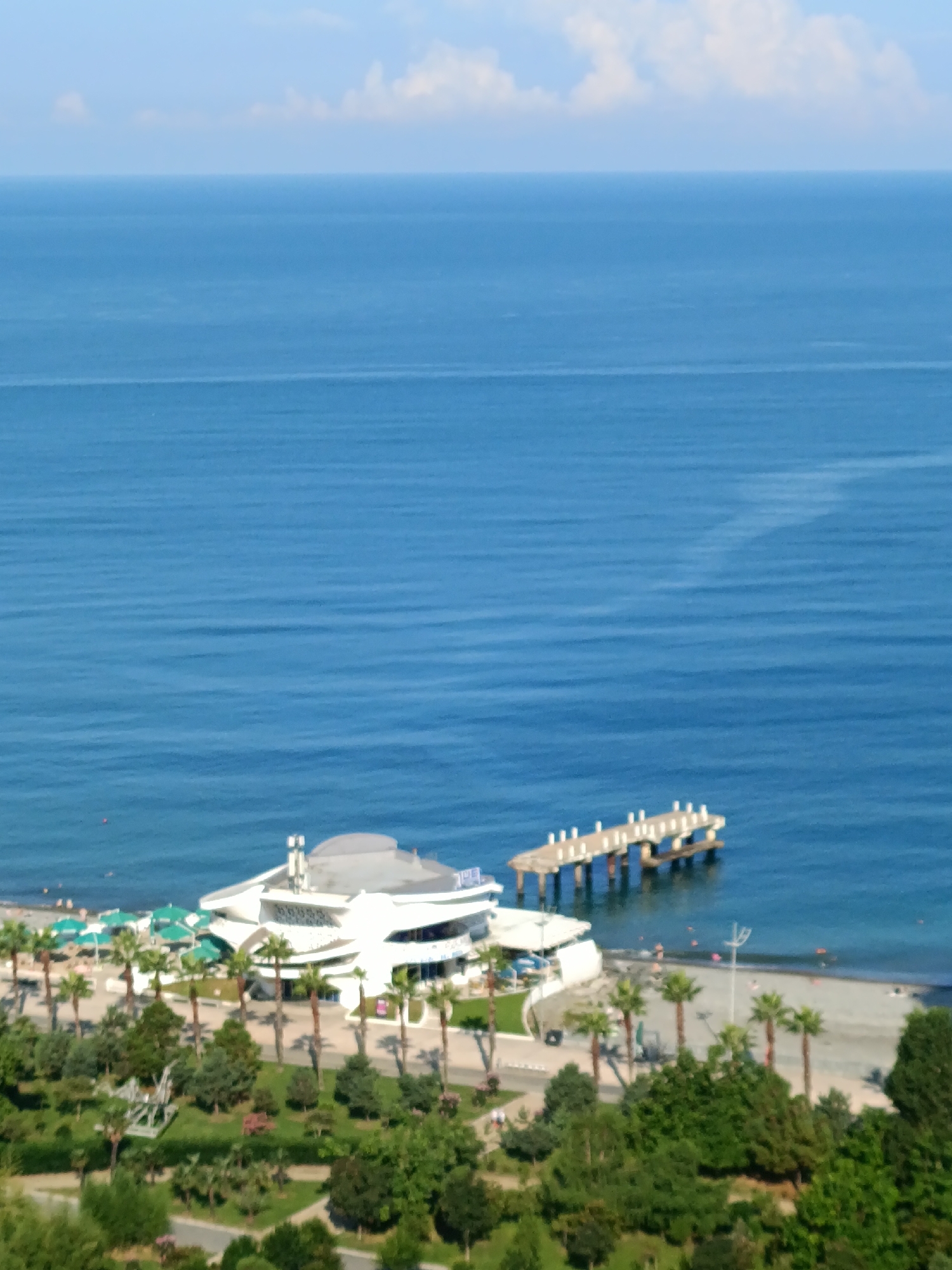 The image displays a coastal scene in Batumi, Georgia, likely during daytime. The vast expanse of the blue Black Sea dominates the upper half of the frame, with a thin line of clouds visible on the horizon. In the middle ground, a white, modern building with a curved roof sits on the shore, adjacent to a grey pebble beach. A wooden pier extends into the sea from the beach. A few people are visible on the beach and in the water, suggesting it is a public area. The foreground is filled with lush green trees and palm trees, indicating a well-maintained park or garden area. A road or pathway is visible within the green space. The overall impression is of a resort or recreational area.