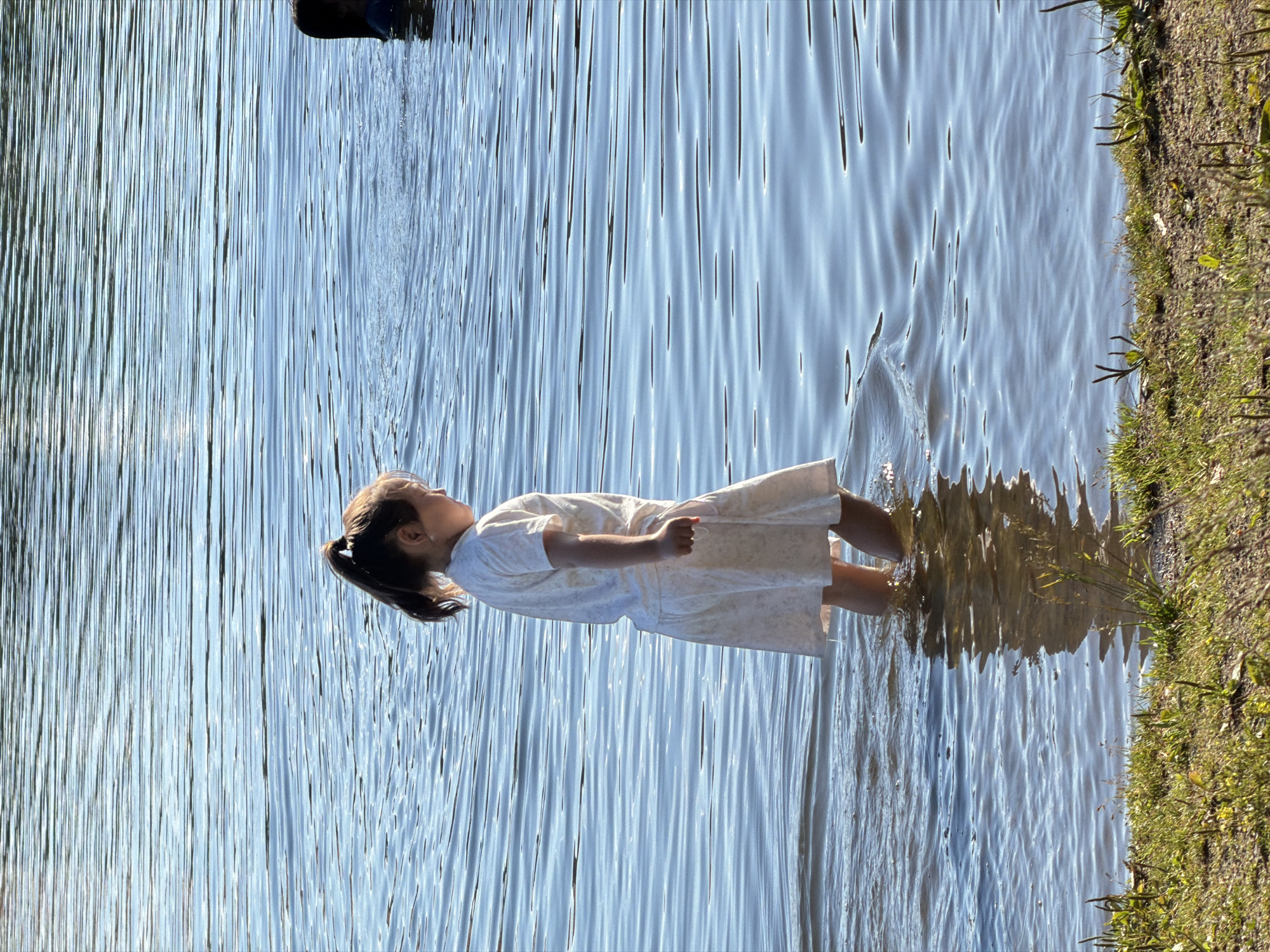 In this vertical, low-angle shot, a young girl stands in shallow water with her head tilted back, eyes closed, and a look of serene enjoyment on her face. She is wearing a light-colored, knee-length dress with a subtle floral pattern. Her dark hair is pulled back into a ponytail. The water, which comes up to her mid-shin, is calm and reflects the bright blue sky, creating a rippled, textured surface. Sunlight glints off the water, highlighting the movement and depth.
To the right of the girl, the grassy bank of the body of water is visible, covered in dry leaves and some scattered green vegetation. The lighting suggests it is daytime, likely a sunny afternoon. The overall impression is one of peacefulness and simple pleasure in a natural setting. There is no visible text in the image.