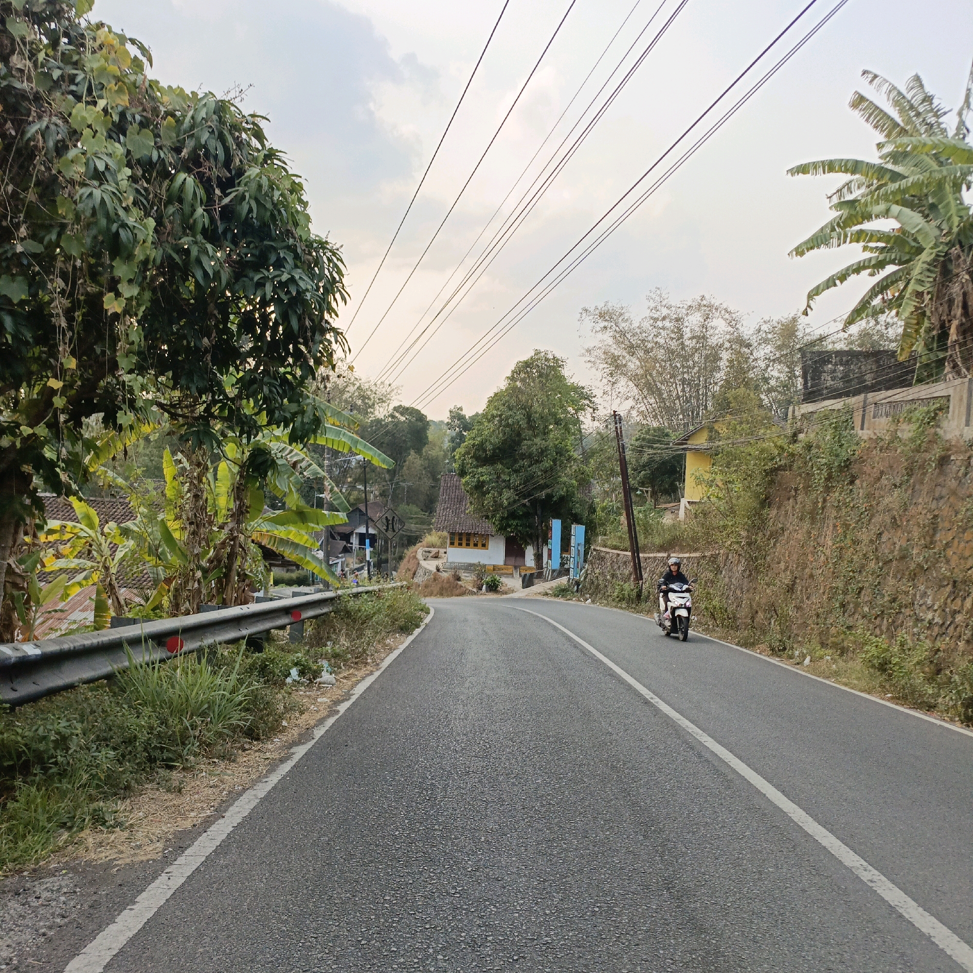 The image depicts a two-lane asphalt road winding through a hilly, rural area, likely on the outskirts of Salatiga, Indonesia. Lush green vegetation, including trees and banana plants, lines the left side of the road, bordering a metal guardrail. On the right side, a steep embankment covered in rocks and dry vegetation slopes upwards, with a few buildings visible in the distance, one painted yellow and another with a stone facade. A single individual, wearing a dark helmet and jacket, rides a white scooter away from the viewer, traveling up the road. Utility poles and a complex network of overhead power lines are prominent in the sky, which is overcast with a soft, diffused light. The overall scene suggests a tranquil, somewhat undeveloped environment characteristic of the Indonesian countryside.