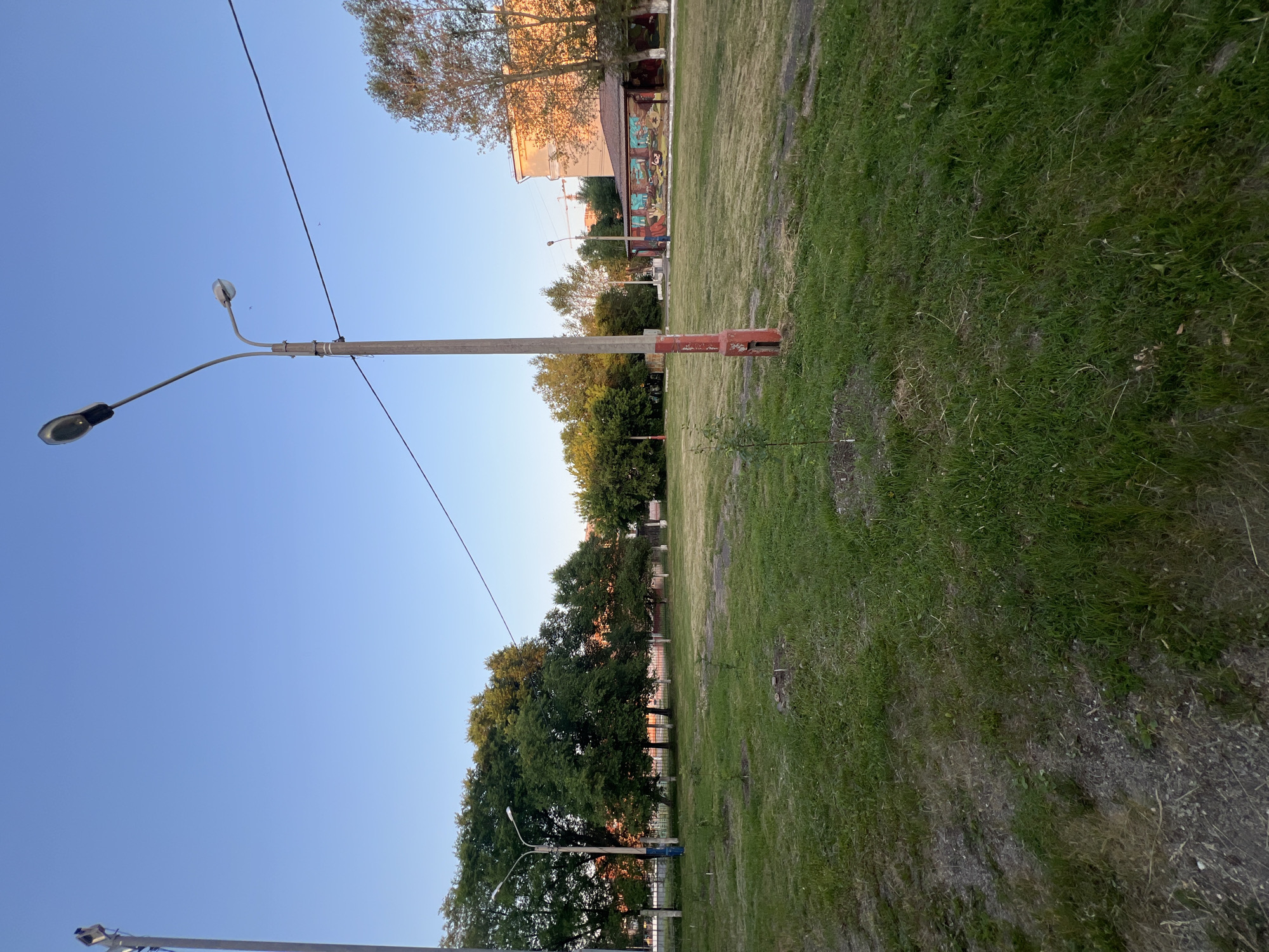 The image depicts a public green space in Krasnoyarsk, Russia, likely a park or a communal yard. In the foreground, a newly planted sapling is visible on a grassy area. A prominent lamppost with two lights stands in the mid-ground, its base painted red and white. Beyond this, a larger group of mature trees forms a backdrop, with buildings visible behind them. One building appears to be a low-rise structure with a colorful mural on its side. In the distance, a taller building and what appears to be construction equipment are present. The sky is clear and blue, suggesting it is daytime, possibly late afternoon or early evening given the warm light illuminating the buildings. The ground is a mix of grass and gravel. There are no people visible in the image.