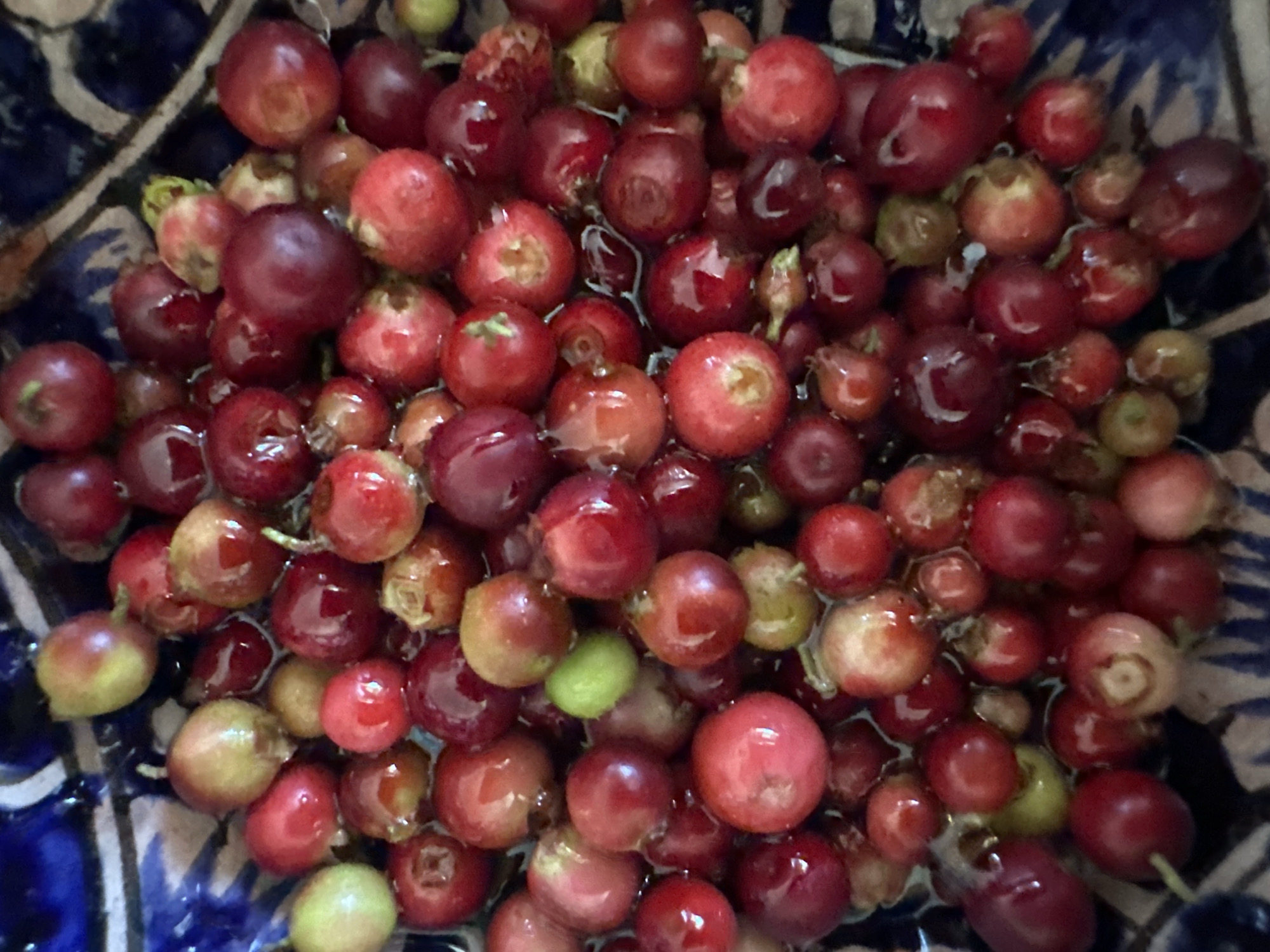 A close-up, overhead shot shows a pile of ripe red berries, some with a yellowish hue, in a blue and white patterned bowl. The berries are wet and appear to be juicy. Some are perfectly round, while others are slightly oval or irregular in shape. The bowl's pattern is visible around the edges of the frame. The lighting is bright and casts subtle reflections on the surface of the berries. There is no information provided about the location in Biysk, Russia.