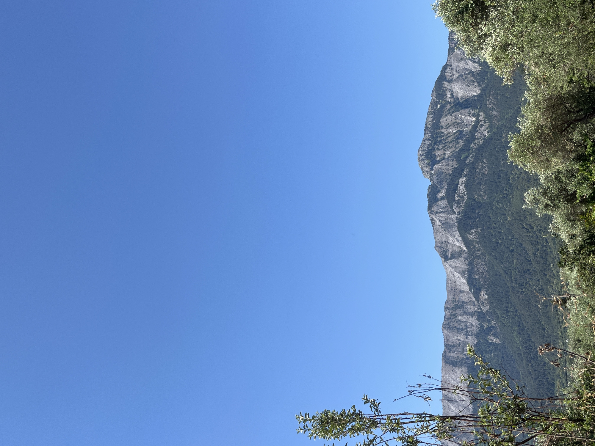 An outdoor vertical shot shows a wide mountain range under a clear blue sky. The mountains are covered in dark green trees on their lower slopes and rocky, barren surfaces on their upper peaks. In the foreground, on the left and right sides of the frame, there are trees with green leaves and bare branches.