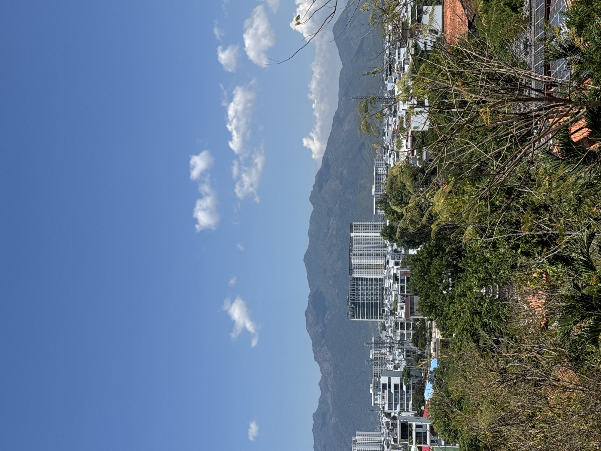 The scene is a daytime view of Tay Nha Trang Ward, Vietnam, dominated by a backdrop of mountains. The sky is clear blue with scattered white clouds. The cityscape consists of a mix of residential and commercial buildings, interspersed with greenery. Dense trees and vegetation are visible in the foreground, partially obscuring some of the buildings. Several high-rise buildings are visible further into the scene. Utility poles are present within the cityscape.