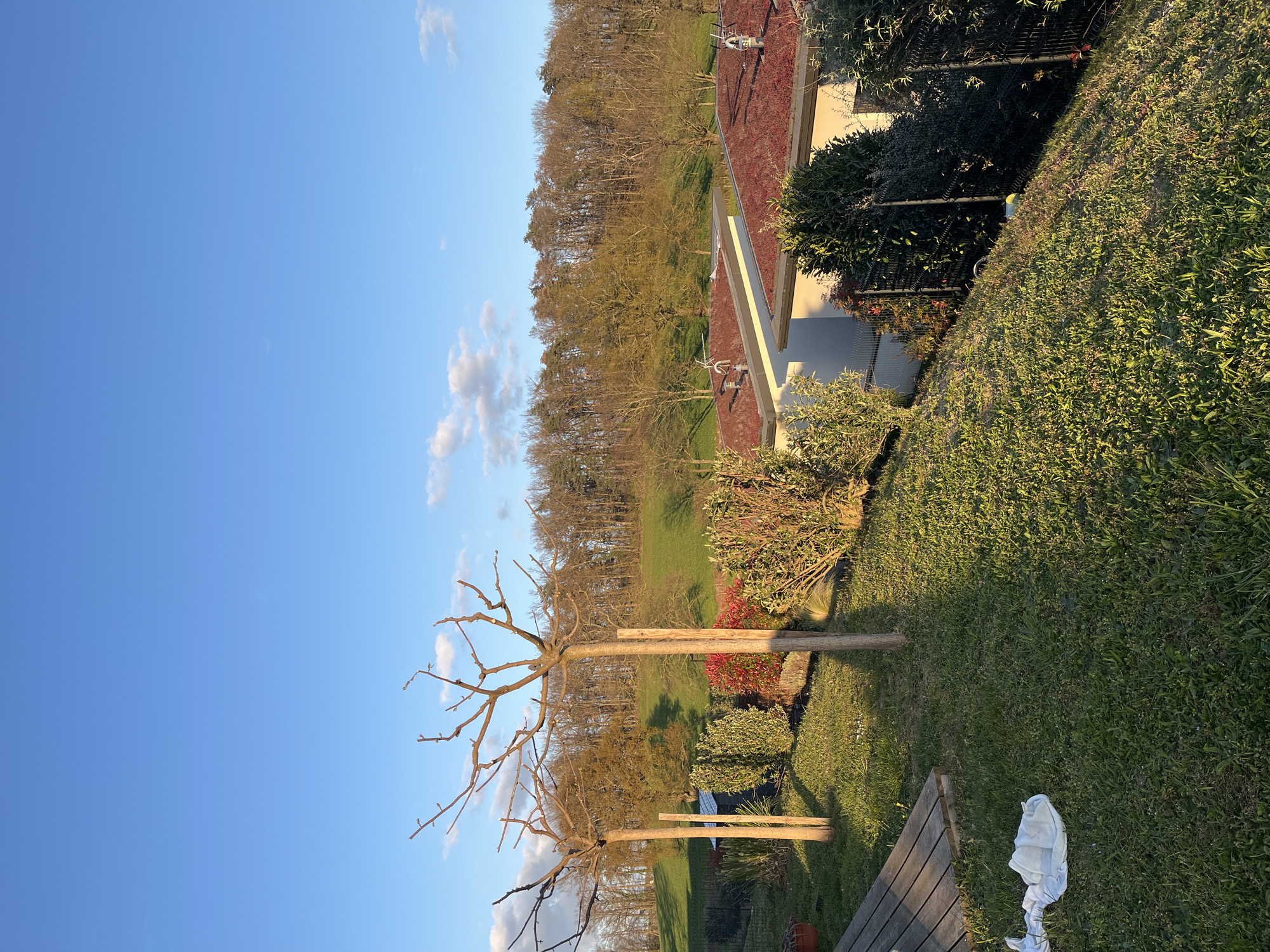 The image shows a yard in Chambœuf, France, with trees, grass, and a building with a red roof. Two trees with bare branches are in the foreground, supported by wooden posts. A patch of grass is visible, next to a wooden deck and a crumpled white cloth. The background includes more trees, a building with a red roof, and a blue sky with clouds.