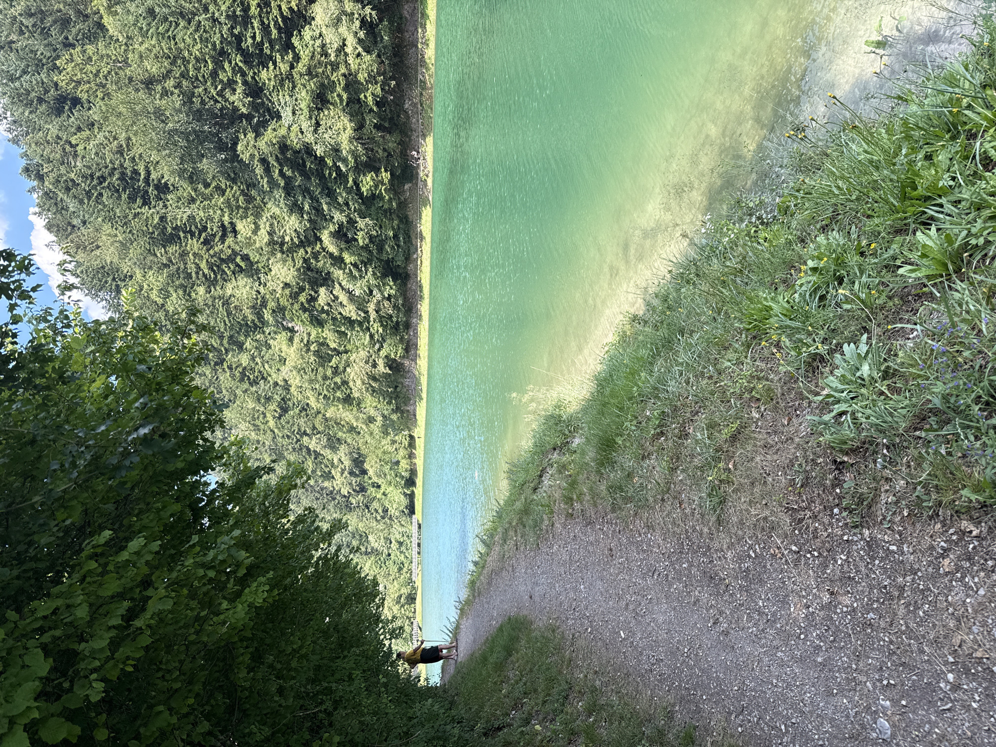The image shows a scenic view of Lake Molveno in Molveno, Italy. A gravel path runs along the left side of the frame, bordered by green grass and lush foliage. A lone figure, appearing to be a person with dark hair wearing a yellow shirt and dark shorts, stands on the path facing the lake, holding what looks like a walking stick. The lake itself is a vibrant turquoise color, with clear shallow areas near the shore revealing a sandy bottom. On the far side of the lake, a densely wooded hillside rises steeply, covered in a variety of evergreen trees. A narrow, man-made structure, possibly a footbridge or a pier, is visible spanning a section of the lake in the distance, with a few other figures on or near it. The sky above is partly cloudy, with patches of blue visible. The overall impression is one of a tranquil natural setting, popular for outdoor recreation.
