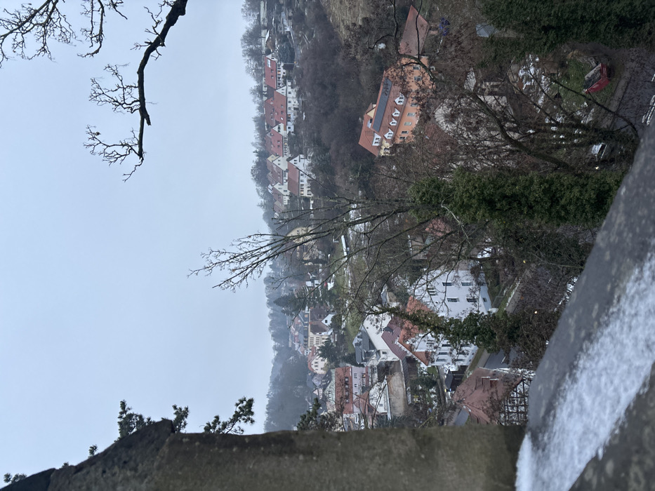 An elevated panoramic view captures a residential district within Meissen, Germany, likely from a vantage point such as the Albrechtsburg Castle or Meissen Cathedral, looking down into the Elbe River valley area. The scene depicts a winter or late autumn day under an overcast, light grey sky.
In the immediate foreground, to the left, a textured, light-colored stone wall or buttress fragment runs vertically. A dark grey parapet or railing, partially dusted with white snow or frost, extends horizontally across the bottom of the frame. Bare, skeletal tree branches with intricate patterns are visible against the sky in the upper right quadrant and center-right.
The midground and background showcase numerous residential buildings nestled along a winding road and ascending hillsides. These structures exhibit varied European architectural styles, predominantly with terracotta-red pitched roofs, some featuring dormer windows. Facades are generally light-colored, ranging from white to pale yellow and peach. One prominent orange-hued building in the lower right-midground features multiple attic dormers and solar panels installed on its roof. A partially visible half-timbered house is present on the left side of the road.
The landscape is densely covered with mostly leafless deciduous trees and some evergreen conifers, indicating a cold season. Patches of white, consistent with snow or frost, are visible on the ground and roofs in various areas. A wet or icy asphalt road runs through the lower midground, with a red roll-off dumpster positioned next to it on the right. No individuals or active movements are discernible within the frame.
