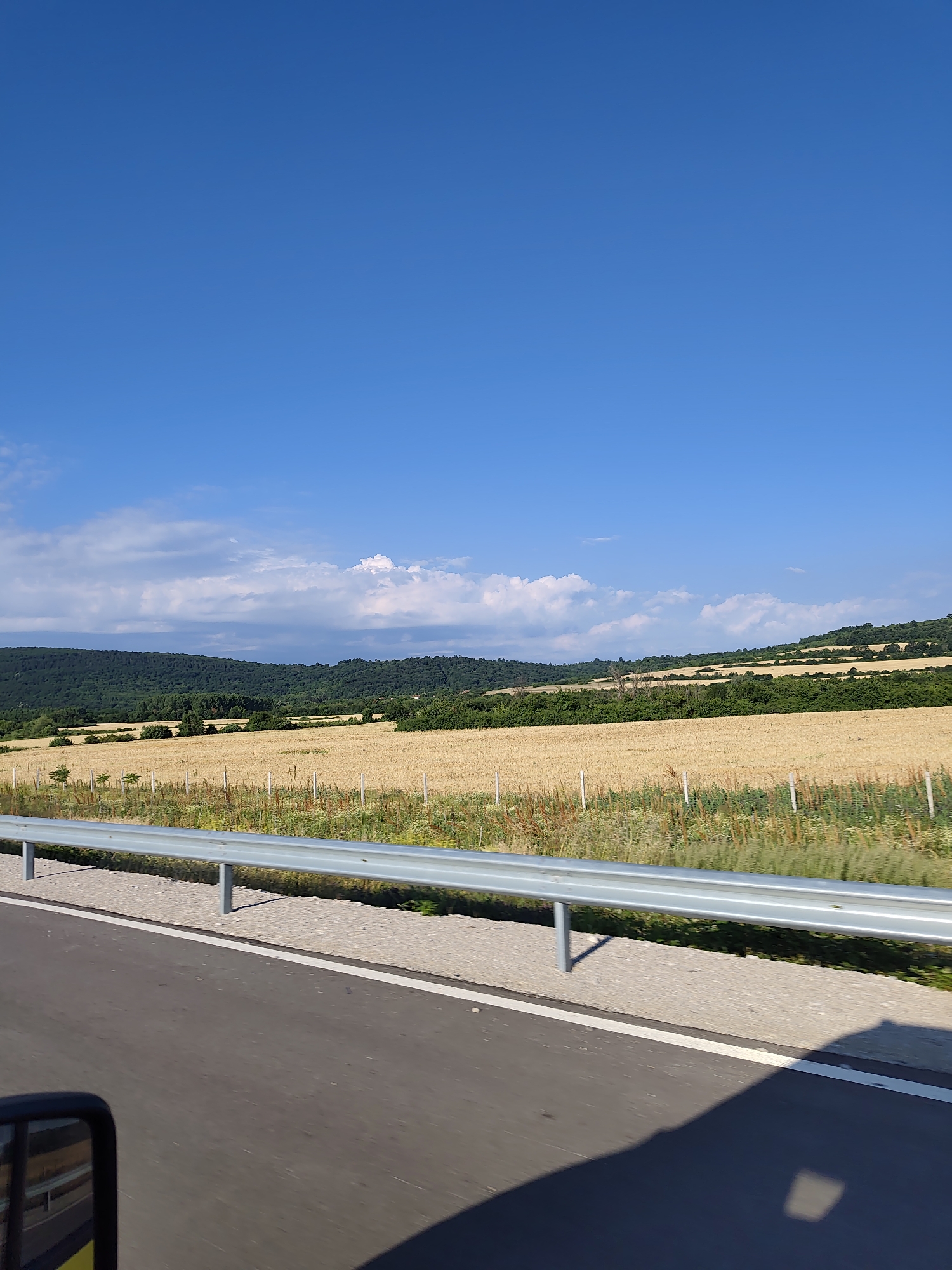 The image shows a rural landscape in Bulgaria, likely near the city of Peshterna. A paved road runs through the foreground, bordered by a metal guardrail. Beyond the guardrail is a large field of golden crops, possibly wheat or barley, stretching towards a line of rolling, tree-covered hills. The sky is a clear, bright blue with a few scattered white clouds. The overall scene depicts a sunny day in a agricultural region.