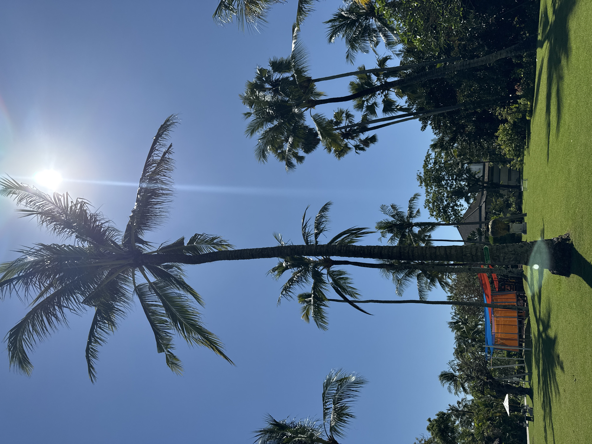 The image shows a cluster of palm trees in Kuta Selatan, Indonesia, under a clear blue sky with bright sunlight. The view is angled upwards, capturing the trees' canopies against the sky. The ground area features green turf and dense vegetation, including other trees and shrubs. In the mid-ground, there is a structure with orange and blue elements. The composition is dominated by natural elements, with the artificial structure playing a smaller role in the scene.