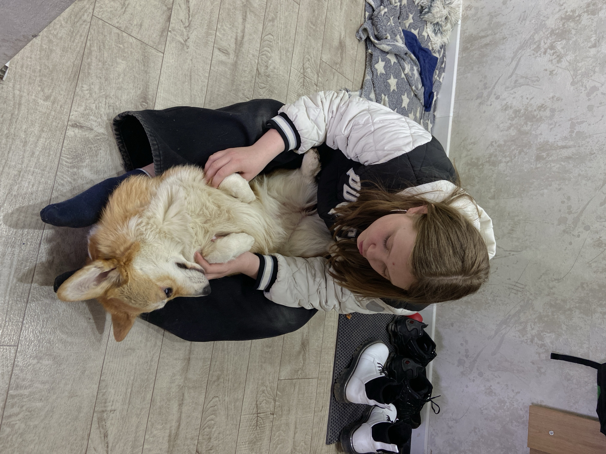 A young person is seated on a light wood-effect floor in an indoor setting in Chaikovsky, Russia, interacting with a corgi dog. The person, with long brown hair, is wearing a white and black quilted jacket with striped cuffs and black pants. They are looking down at the dog, which is lying on its back across their lap, with its belly exposed. The person's hands are gently cradling the dog's paws and head, suggesting an affectionate interaction. The corgi has light tan and white fur and appears relaxed and comfortable.
To the right of the person, on a dark grey textured mat, are several pairs of shoes, including white and black sneakers/boots and black boots. A light grey wall with subtle textured patterns forms the background on the right side of the image. In the upper background, a grey blanket with a white star pattern is visible, alongside a folded dark blue fabric item. The scene portrays a quiet moment of companionship and care between the person and their pet in what appears to be a home environment. No visible text is present in the image.