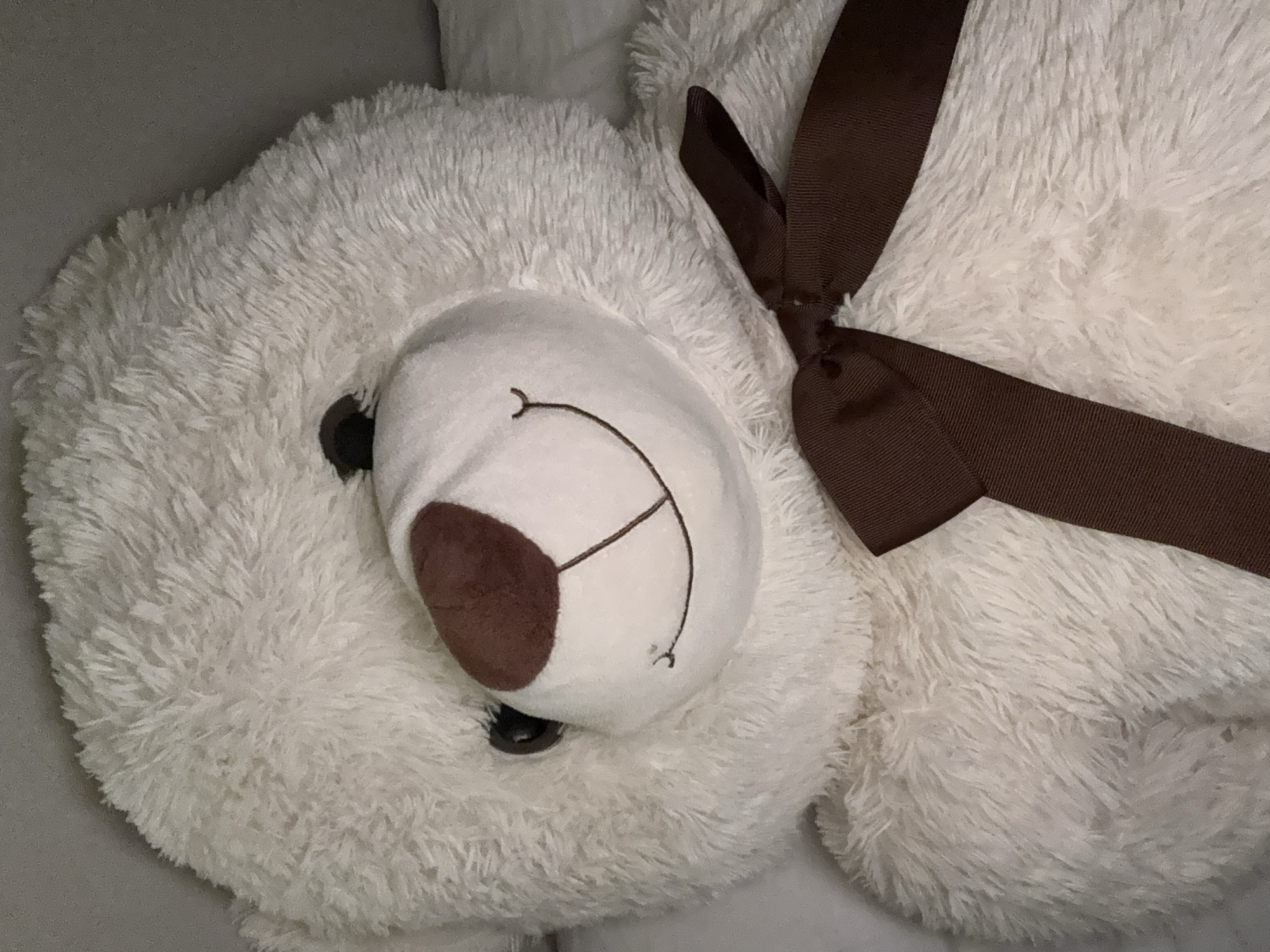 A close-up photograph depicts a large, white, fluffy teddy bear with a brown ribbon tied around its neck. The bear has a white snout with a brown nose and a stitched smile. One eye is visible and black. The fur is soft and plush. The setting is indoors. No people are visible in the image. The location in the city of Veauchette, France is not discernible from the image.