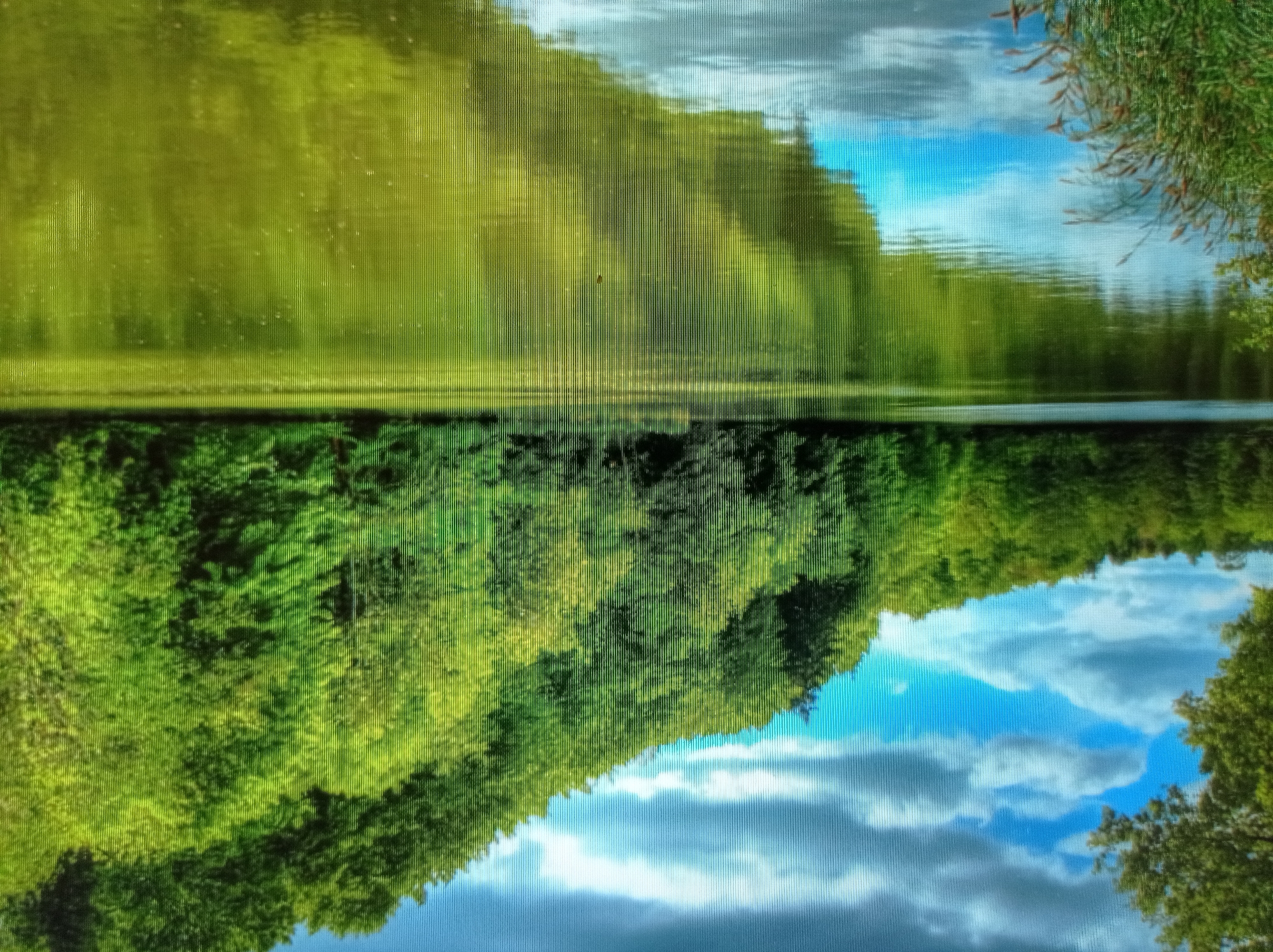 The image depicts a serene natural landscape with a body of water reflecting the surrounding environment. Lush green trees form a dense canopy along the shoreline and extend up a gentle slope. The sky above is a vibrant blue, dotted with fluffy white clouds. The water's surface is calm, mirroring the sky and the foliage. In the foreground, tall grasses and reeds grow along the water's edge on the left side of the frame. The scene conveys a sense of tranquility and natural beauty. The location in Mukachevo, Ukraine, is not ascertainable from the image content alone.
