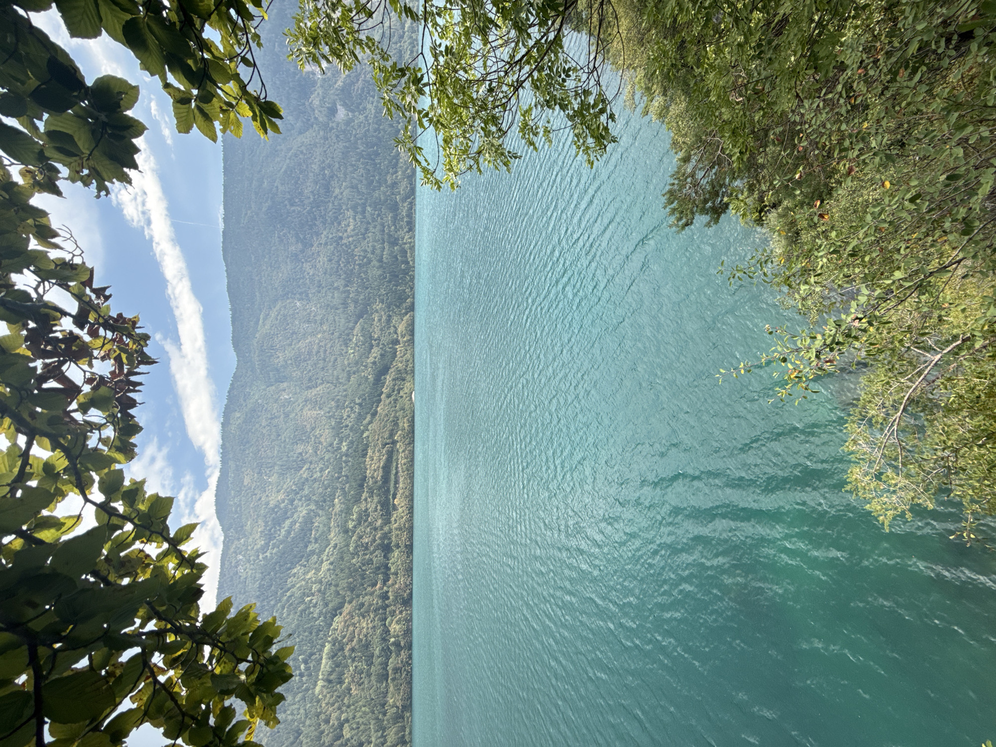 This vertical, medium-shot image captures a serene view of a large, tranquil body of turquoise water surrounded by verdant, tree-covered mountains. The foreground is framed by the lush, green foliage of trees, with leaves and branches extending into the upper and right portions of the frame. The water's surface is gently rippled, creating a textured pattern that reflects the soft, natural light. In the background, the mountains rise majestically, their slopes densely packed with a variety of trees, creating a gradient of green hues that recede into the distance. The sky above is a clear, pale blue, interspersed with wispy white clouds. The scene evokes a sense of peace and natural beauty, characteristic of a remote, unspoiled landscape. The location is described as being in the city of Unknown, Italy.