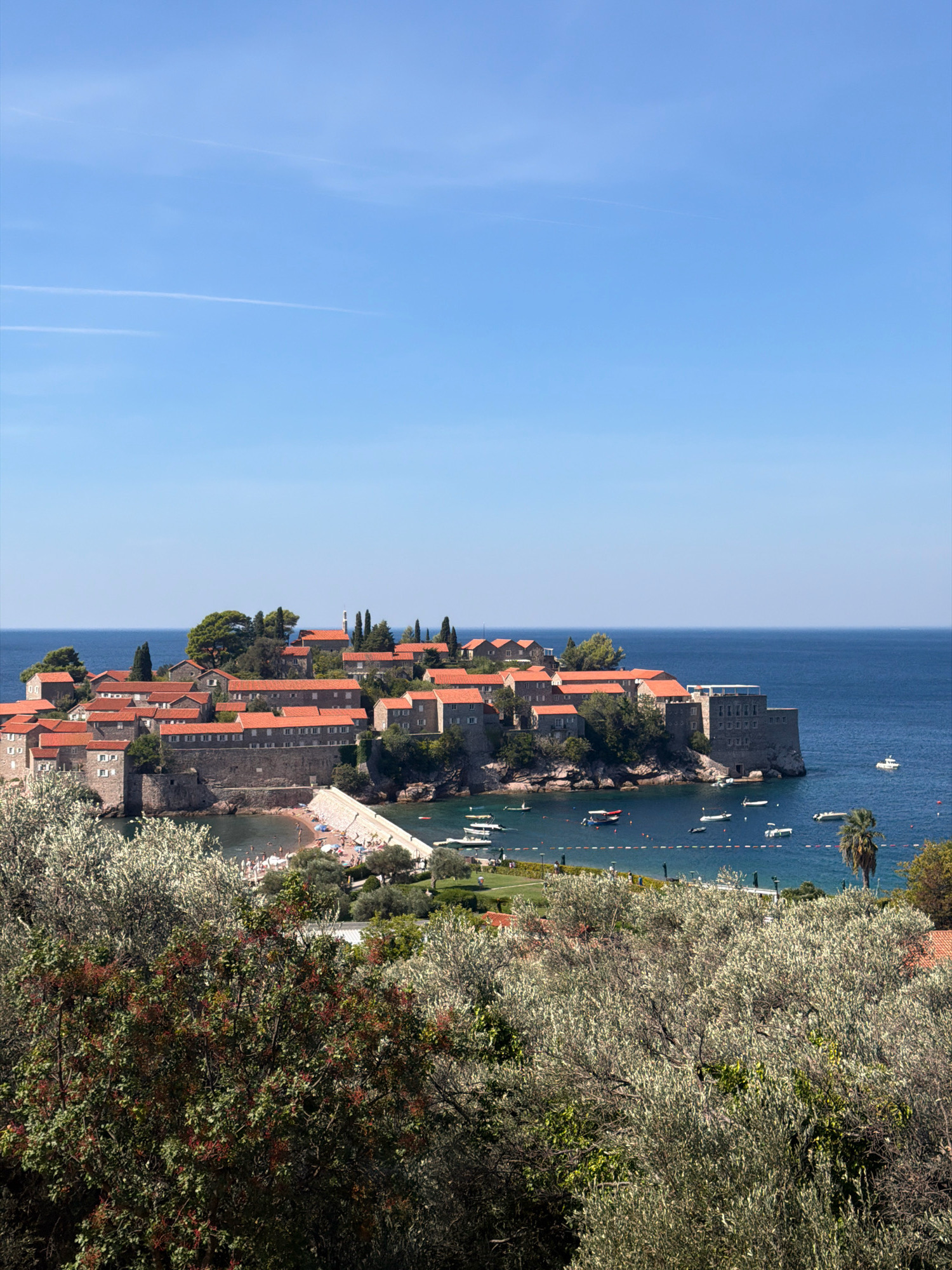 This image captures a scenic view of Sveti Stefan, Montenegro, a small islet and hotel resort on the Adriatic coast. In the foreground, dense, leafy trees with scattered red berries partially obscure the view. Beyond the foliage, the islet of Sveti Stefan is visible, characterized by its cluster of stone buildings with characteristic red-tiled roofs. A narrow causeway connects the islet to the mainland.
The water surrounding the islet is a deep blue and dotted with numerous small boats and a few larger vessels. A small beach is visible on the mainland side of the islet, with several umbrellas and a number of people scattered across the sand. The sky above is a clear, bright blue with thin, wispy white clouds or contrails. The overall scene depicts a sunny day in a picturesque coastal location.