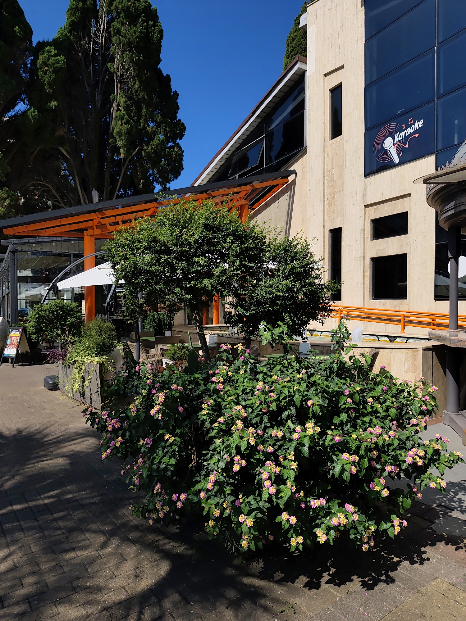 This image captures an outdoor seating area adjacent to a beige building with large dark windows in Sochi, Russia. The building features a prominent "Karaoke" sign with a microphone and musical notes on the upper right section of its facade. In the foreground, a dense, green shrub with clusters of pink and yellow flowers dominates the scene. A brick pathway runs along the left side, shaded by palm fronds casting dappled shadows. To the left of the shrub, there are additional potted plants and greenery, and beyond that, an outdoor dining setup with white umbrellas and tables and chairs. An orange-colored pergola structure extends over a section of this outdoor area. The background is filled with tall, dark green trees, likely cypress, against a clear blue sky. The overall scene suggests a bright, sunny day at a venue offering entertainment and outdoor relaxation.