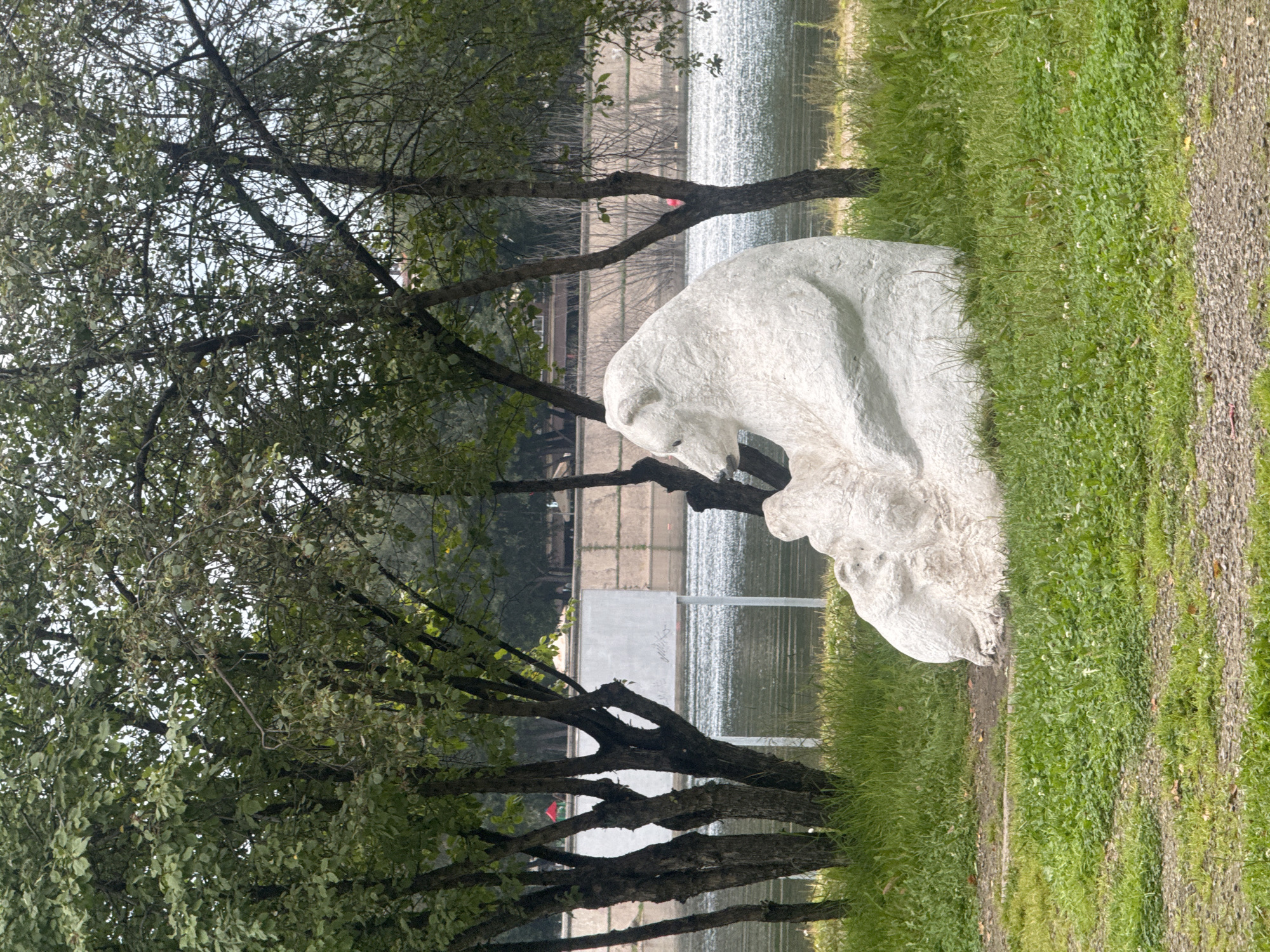 A white sculpture of a mother bear and her cubs sits on a grassy embankment overlooking a body of water. The sculpture is in the foreground, with trees behind it. The body of water appears to be a river or lake. In the background, there is a concrete embankment and some buildings. The sky is overcast. The sculpture is located in Irkutsk, Russia.