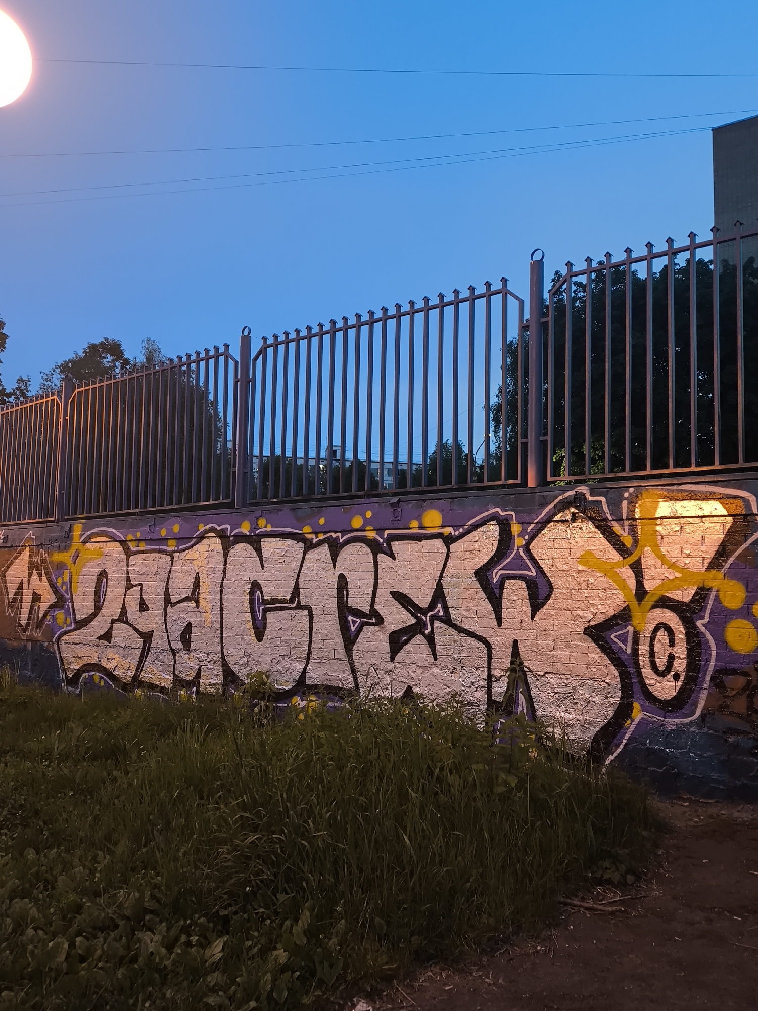 A tagged brick wall sits in front of a metal fence. The grass is grown high in front of the wall, partially obscuring the tagging. The sky is blue with some light from a lamppost at the top left.