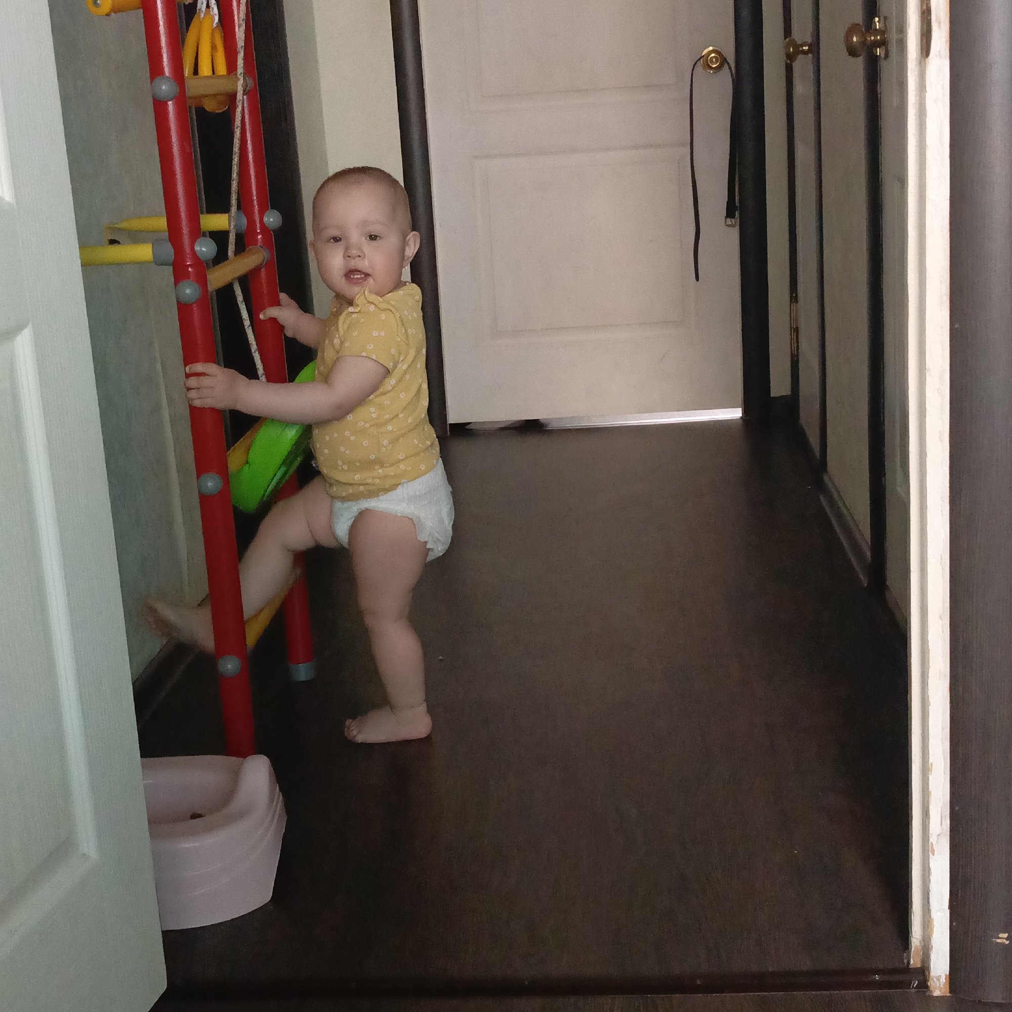 An indoor, eye-level shot captures a toddler standing next to a colorful play structure in what appears to be a hallway or room entrance. The baby, with light hair, wears a short-sleeved yellow top with a subtle white floral pattern and a white disposable diaper. They are holding onto a red and yellow indoor climbing gym or ladder with both hands, with one leg slightly lifted as if attempting to step onto a rung or navigate the structure. The baby's gaze is directed towards the camera with a neutral, slightly curious expression.
To the left of the baby, a light-colored door frame is partially visible, and a pink plastic potty is situated on the dark wooden floor near the base of the play structure. The background features a hallway with several white doors, each fitted with golden round door handles. A black strap or belt hangs from one of the door handles in the mid-background. The floor throughout the visible area is a dark wood or laminate. The lighting suggests daytime indoor conditions. No discernible text is visible in the image.