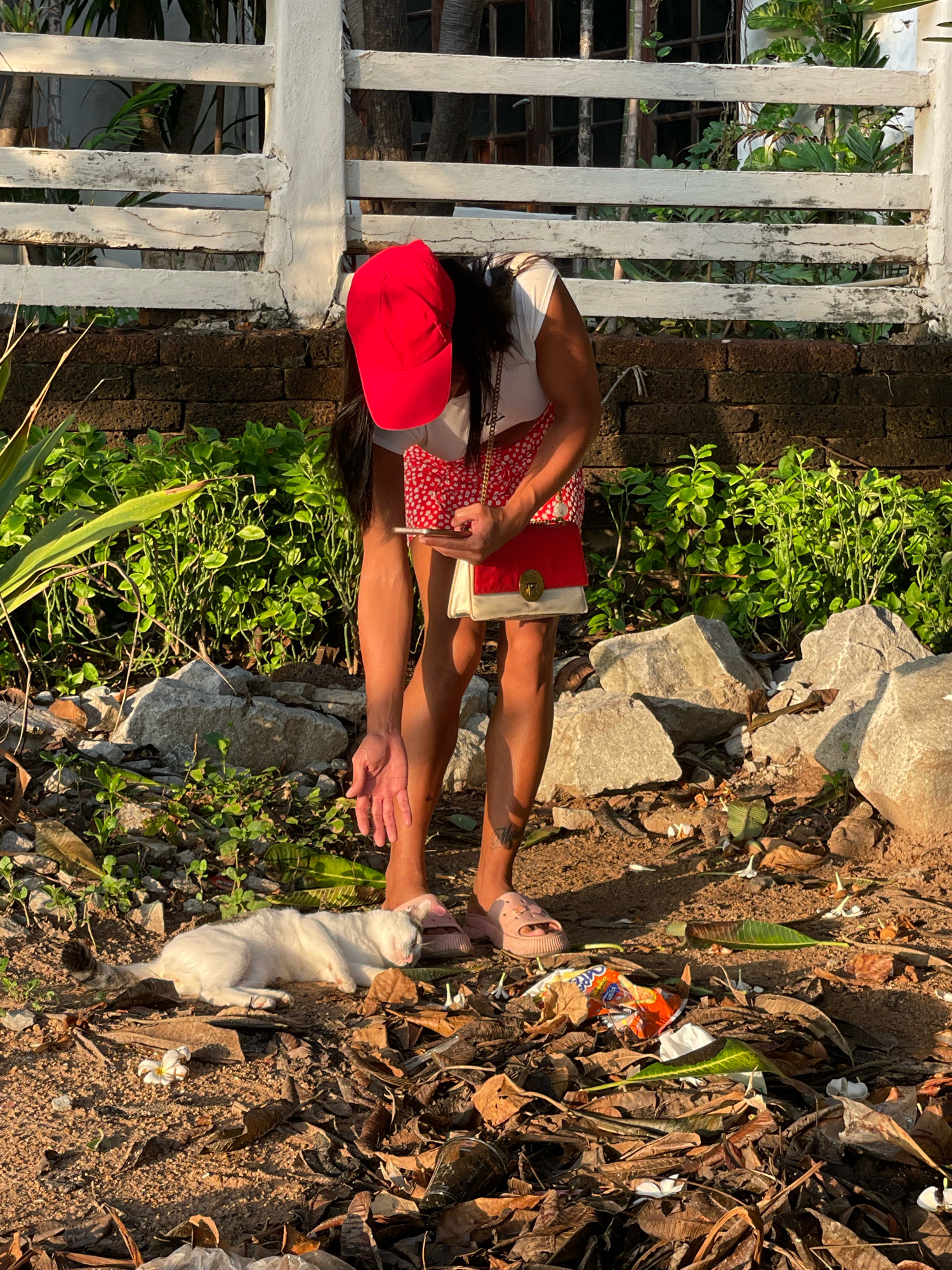 In Pattaya City, Thailand, a person wearing a red cap and white shirt, with dark hair, is bent over. They are holding a red and white patterned handbag. Their left hand is extended downwards. In front of them, a white cat is lying on the ground. The environment appears to be an outdoor, somewhat unkempt area with dirt, scattered leaves, rocks, and greenery. A white wooden fence is visible in the background. The lighting suggests it is either early morning or late afternoon.