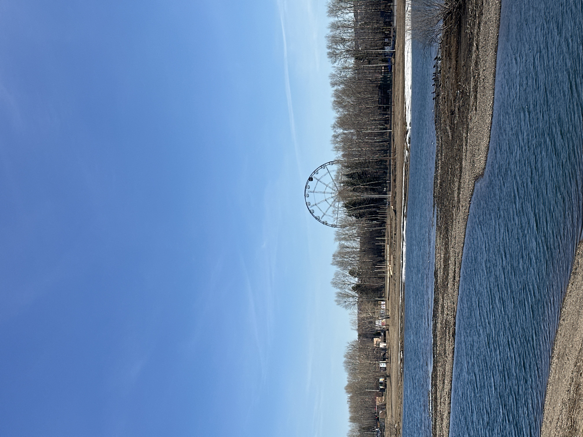 The image, when properly oriented, presents a tranquil landscape under a clear blue sky, likely in Irkutsk, Russia, during late winter or early spring. In the foreground, a wide body of water, possibly a river or lake, stretches across the frame with gentle ripples visible on its surface. A narrow, pebbled or dry earth shoreline separates the water from the distant land. Small, dark shapes, potentially birds, are gathered near the water's edge on the closest bank.
Across the water, the midground is dominated by a dense line of tall, bare deciduous trees, characteristic of the season before leaves emerge. Among these trees, a large, white or metallic Ferris wheel stands out prominently, suggesting the presence of an amusement park or recreational area. The sky above is a vibrant, uniform blue, with only very faint, thin contrails barely visible.
The scene appears calm and devoid of human activity, capturing a quiet moment in nature. The bright, even lighting indicates midday. No discernable text is visible in the photograph. The overall impression is one of peaceful openness, with the stark trees and Ferris wheel hinting at a landscape preparing for warmer weather.
